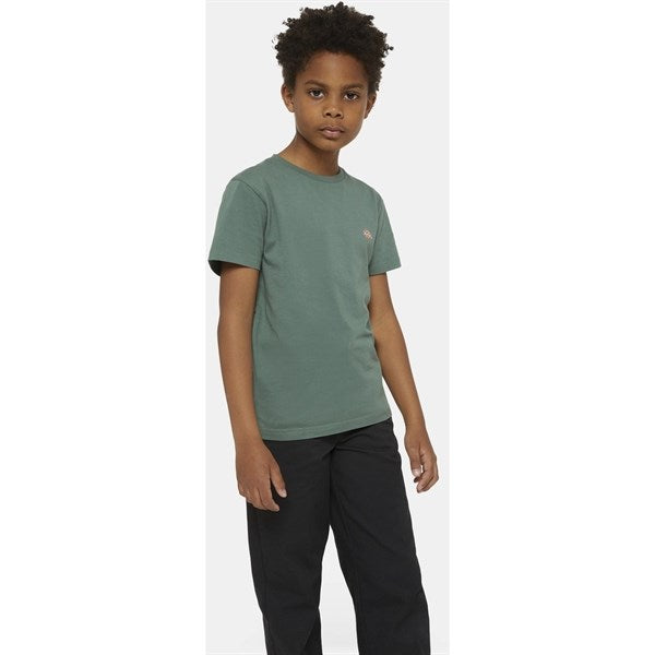 Dickies Mapleton T-Shirt Dark Forest