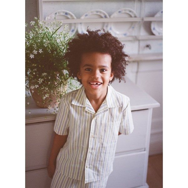 Flöss Bobby Shirt Blue/Green Stripe