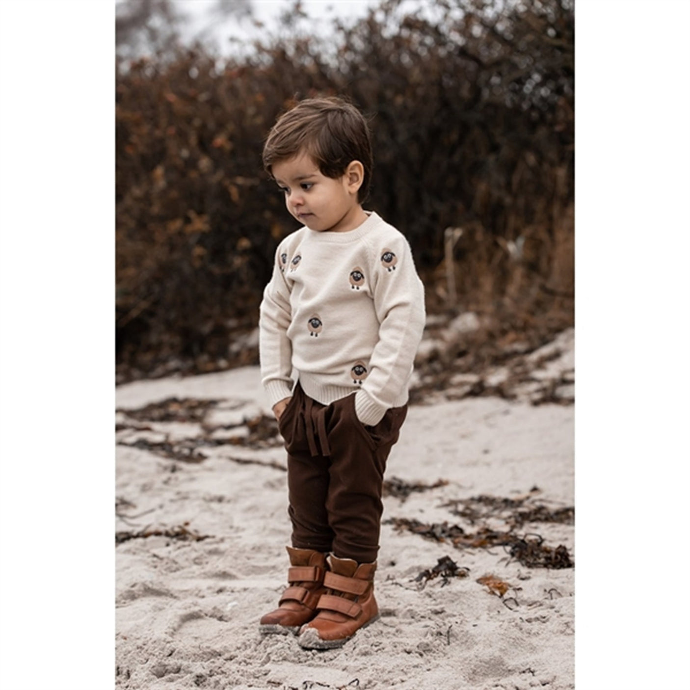 Fliink Sandshell Embr. Sheep Alon Pullover