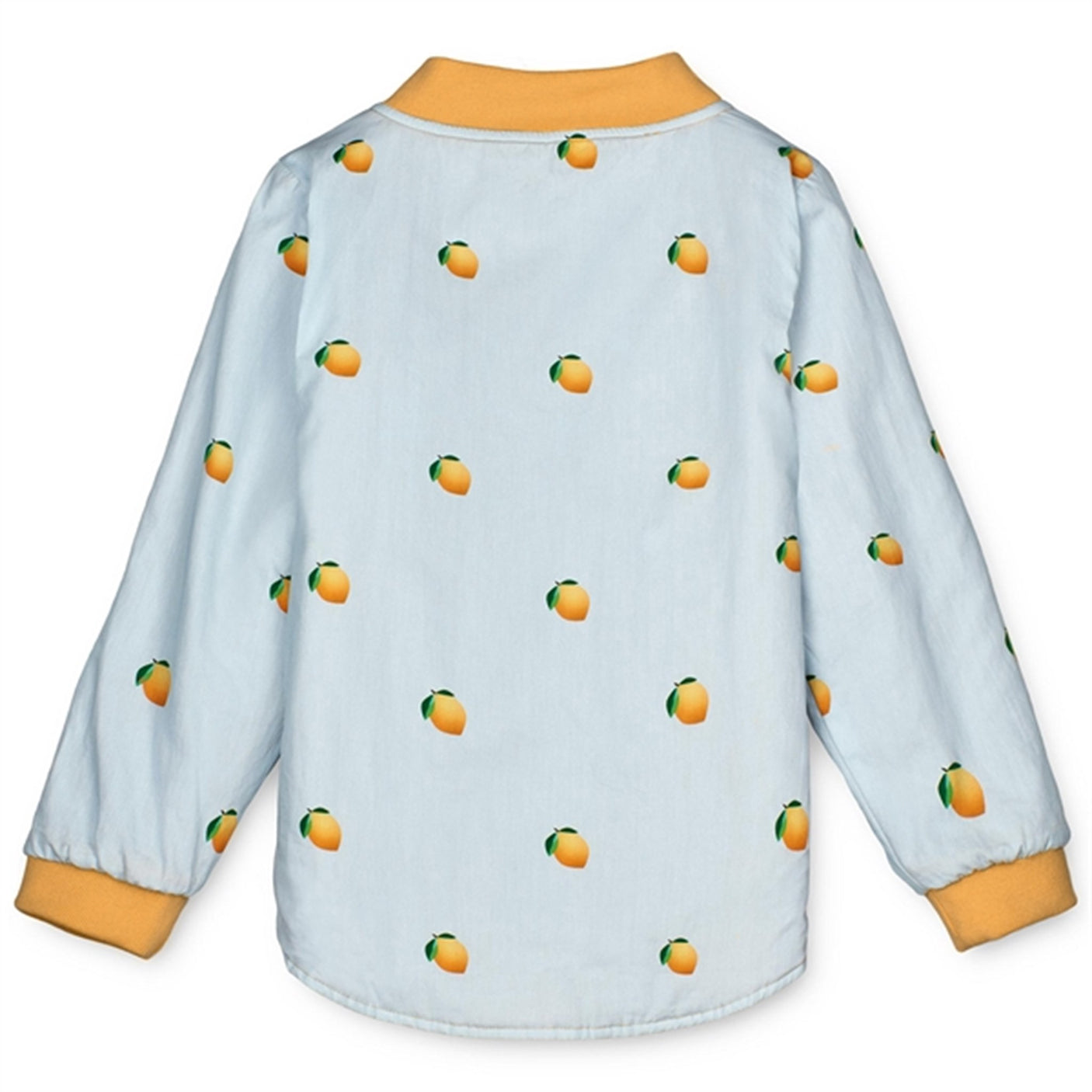 Fliink Ballad Blue AOP Kota Jacket