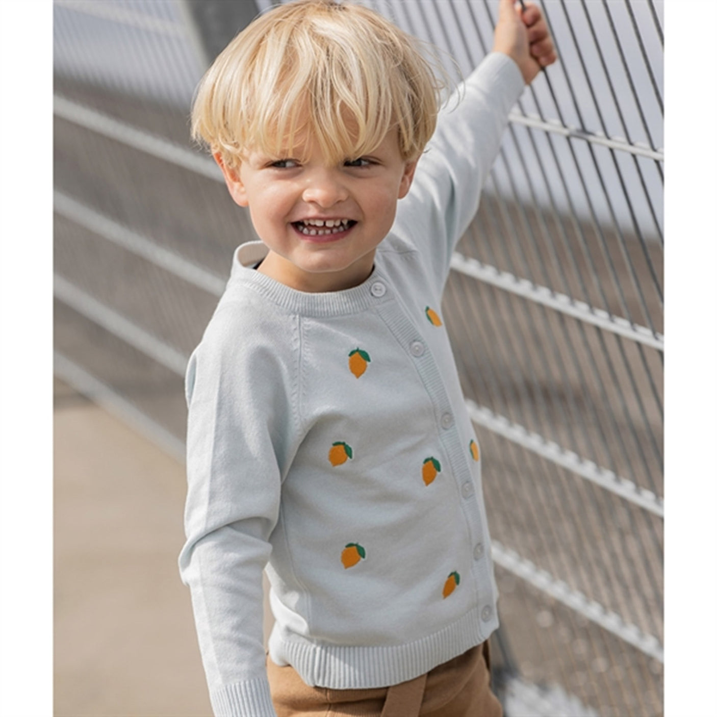 Fliink Ballad Blue/Sunflower Lemons Favo Embr. Knitted Cardigan