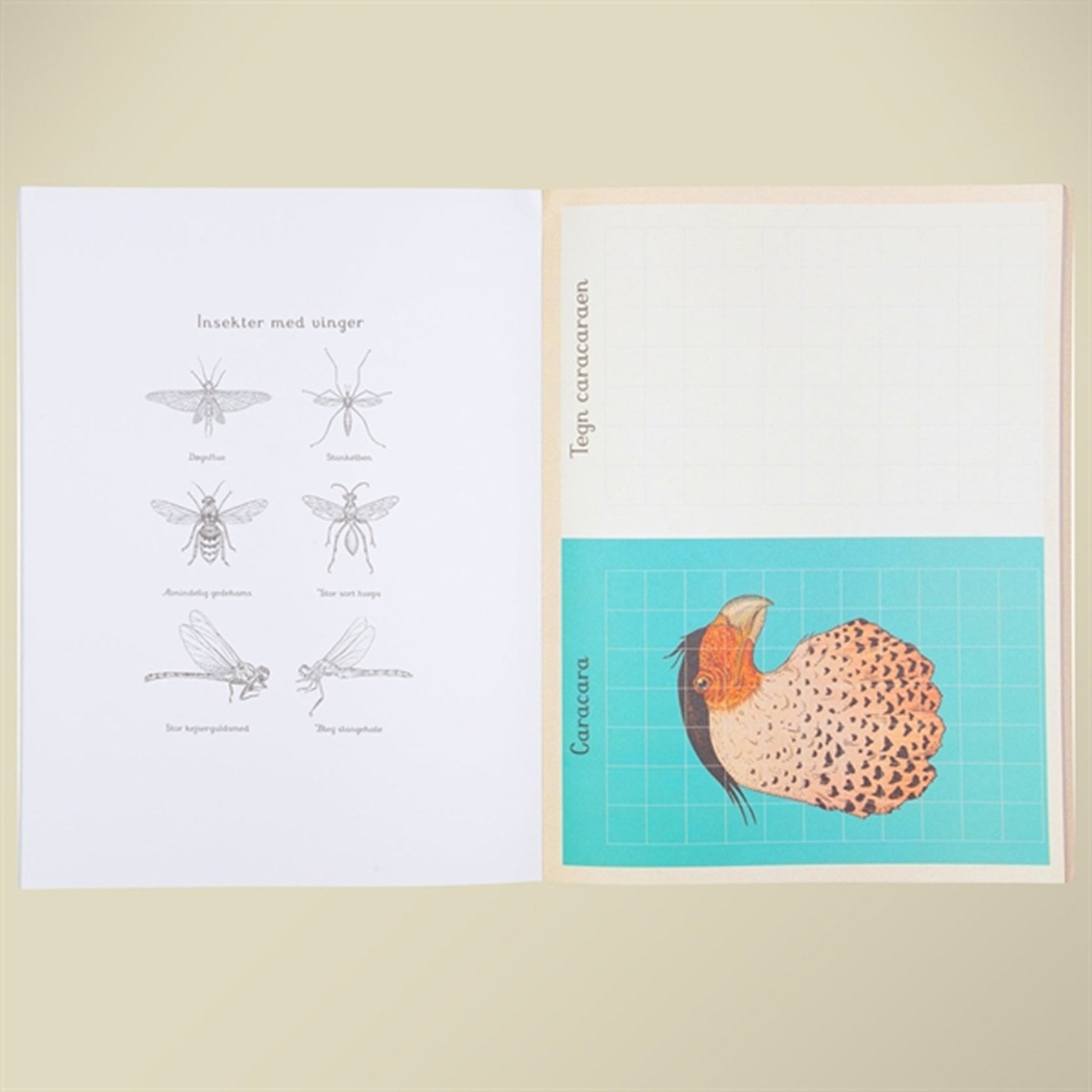 Forlaget Mammut Activity Book Animalium