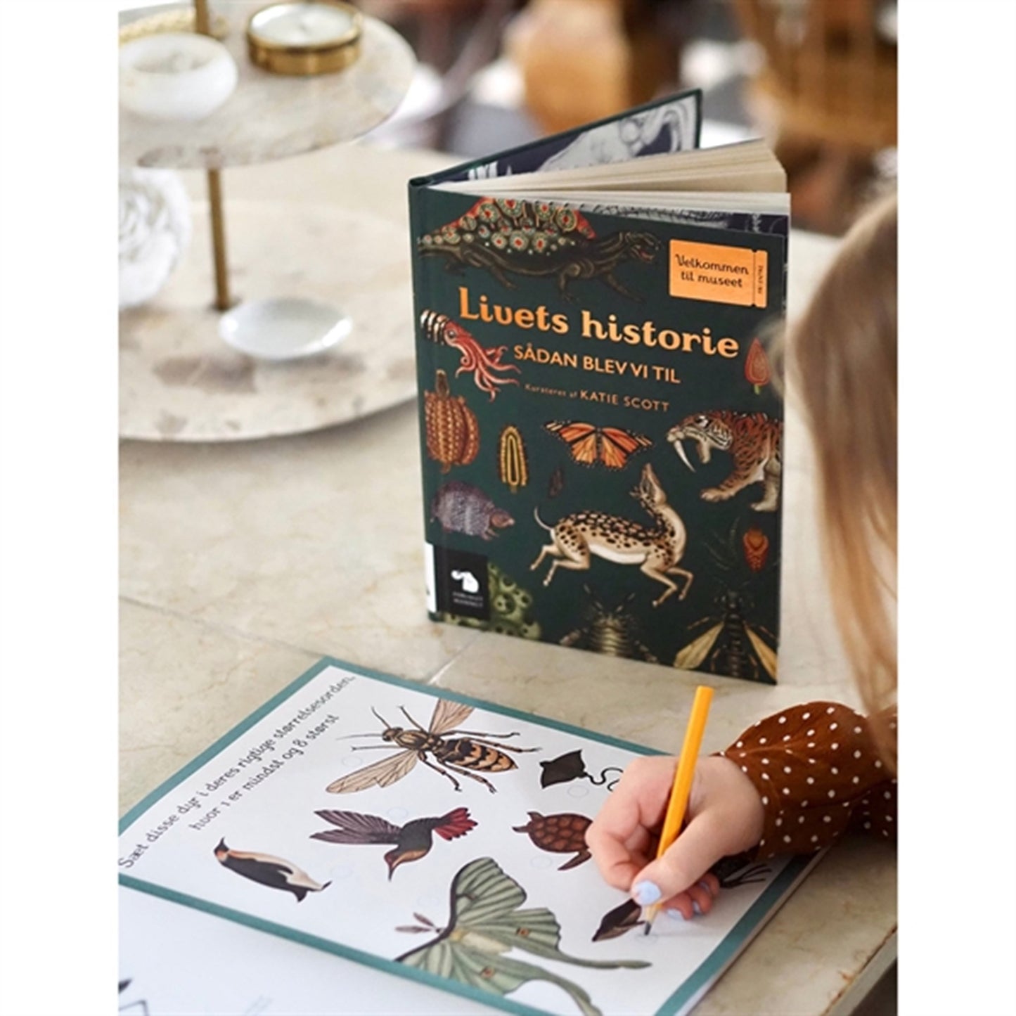 Forlaget Mammut Activity Book Animalium