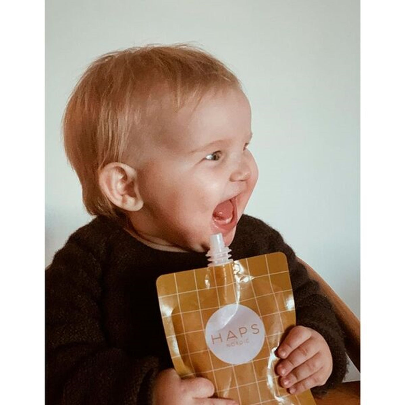 Haps Nordic Smoothie Bags Cold Color