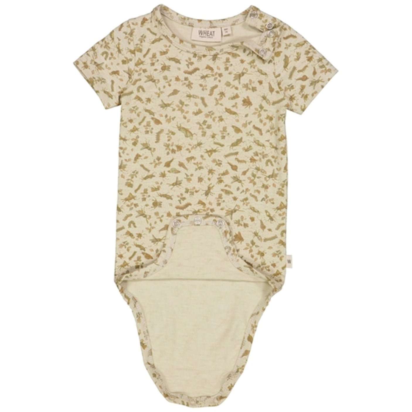 Wheat Fossil Insects Plain Body