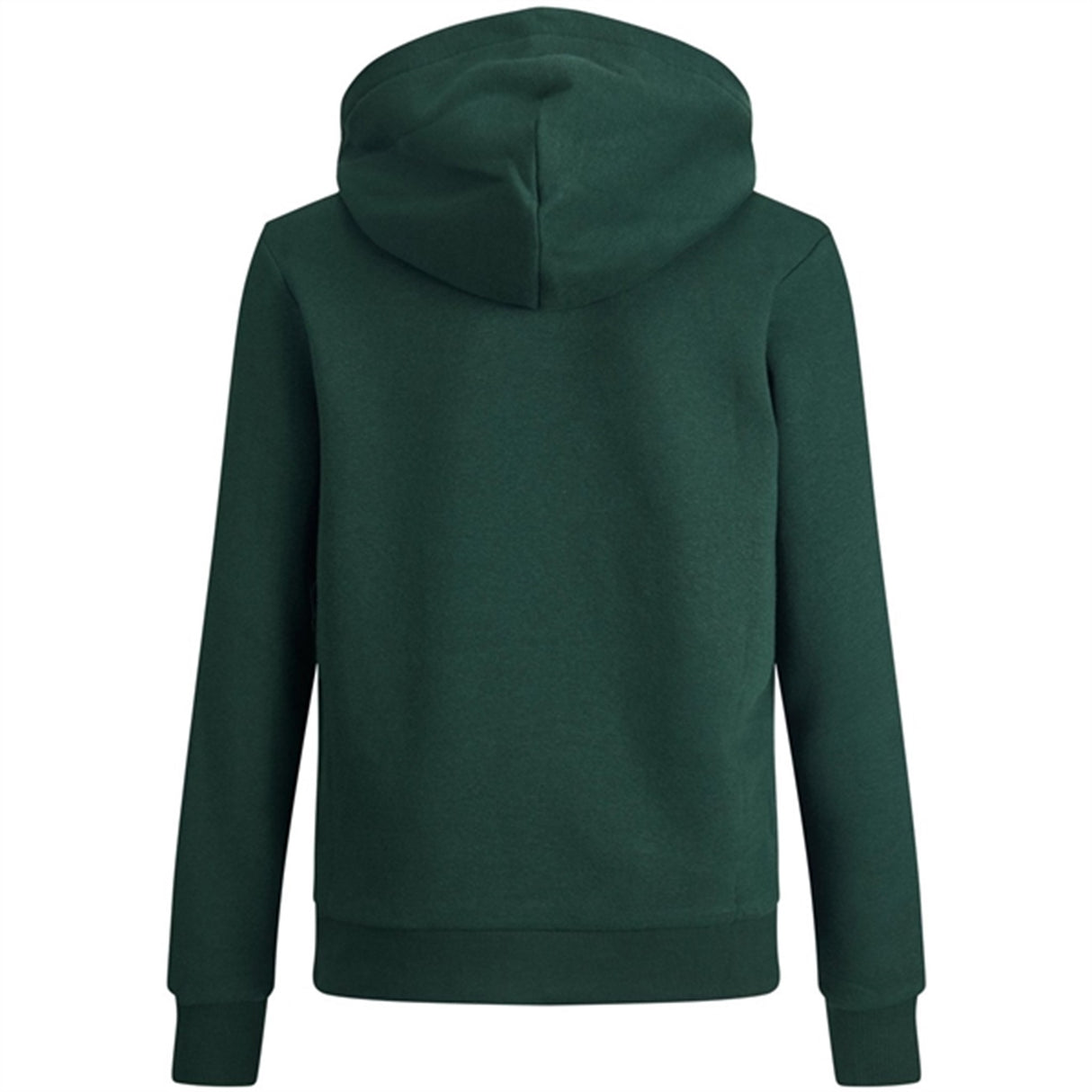 Jack & Jones Junior Pine Grove Logo Sweat Hoodie Noos