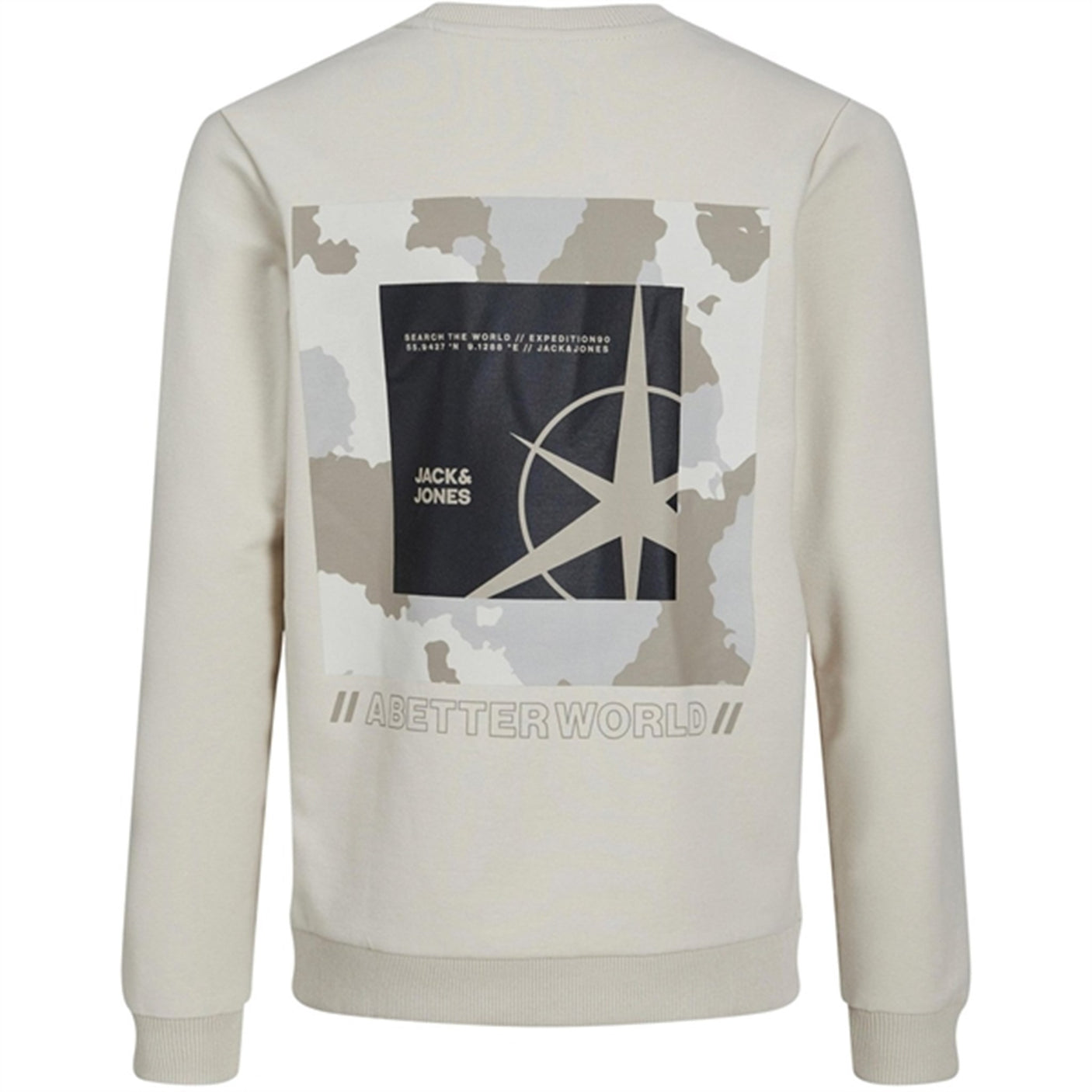 Jack & Jones Junior Moonbeam Filo Sweatshirt
