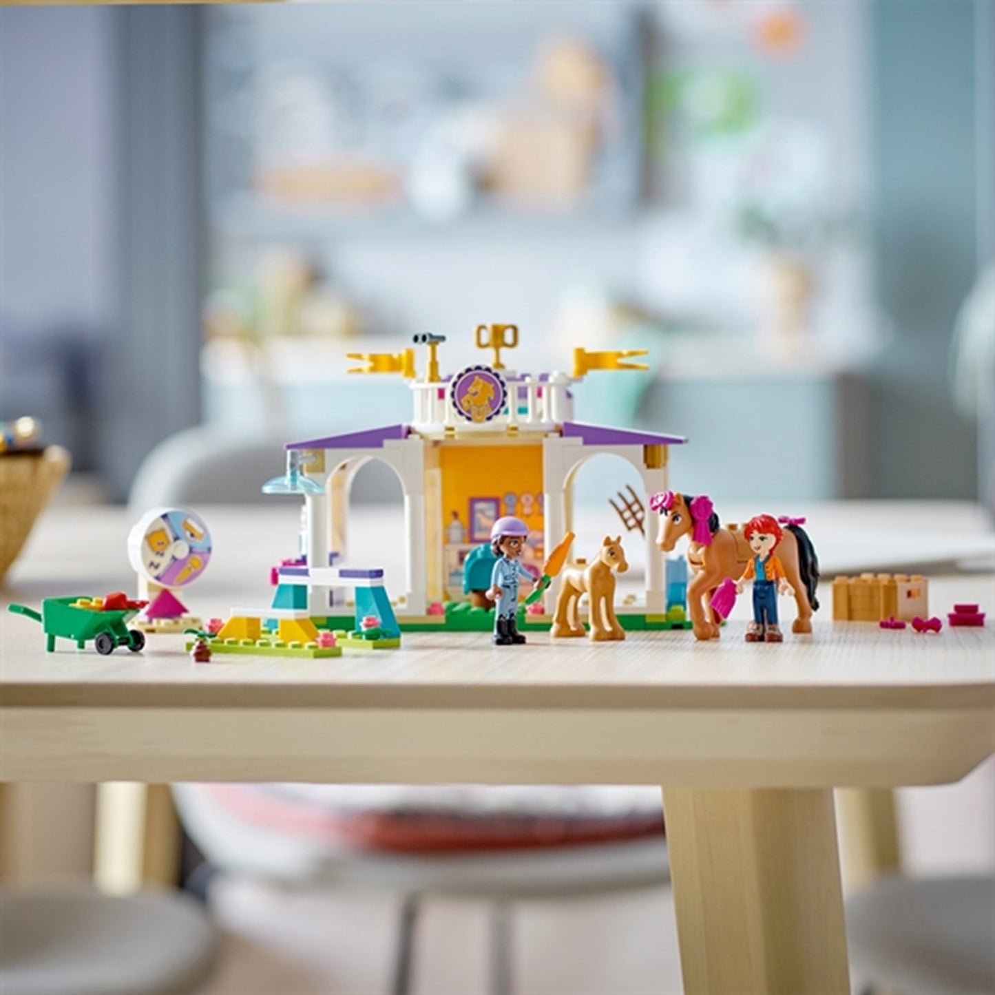 LEGO® Friends Horse Training