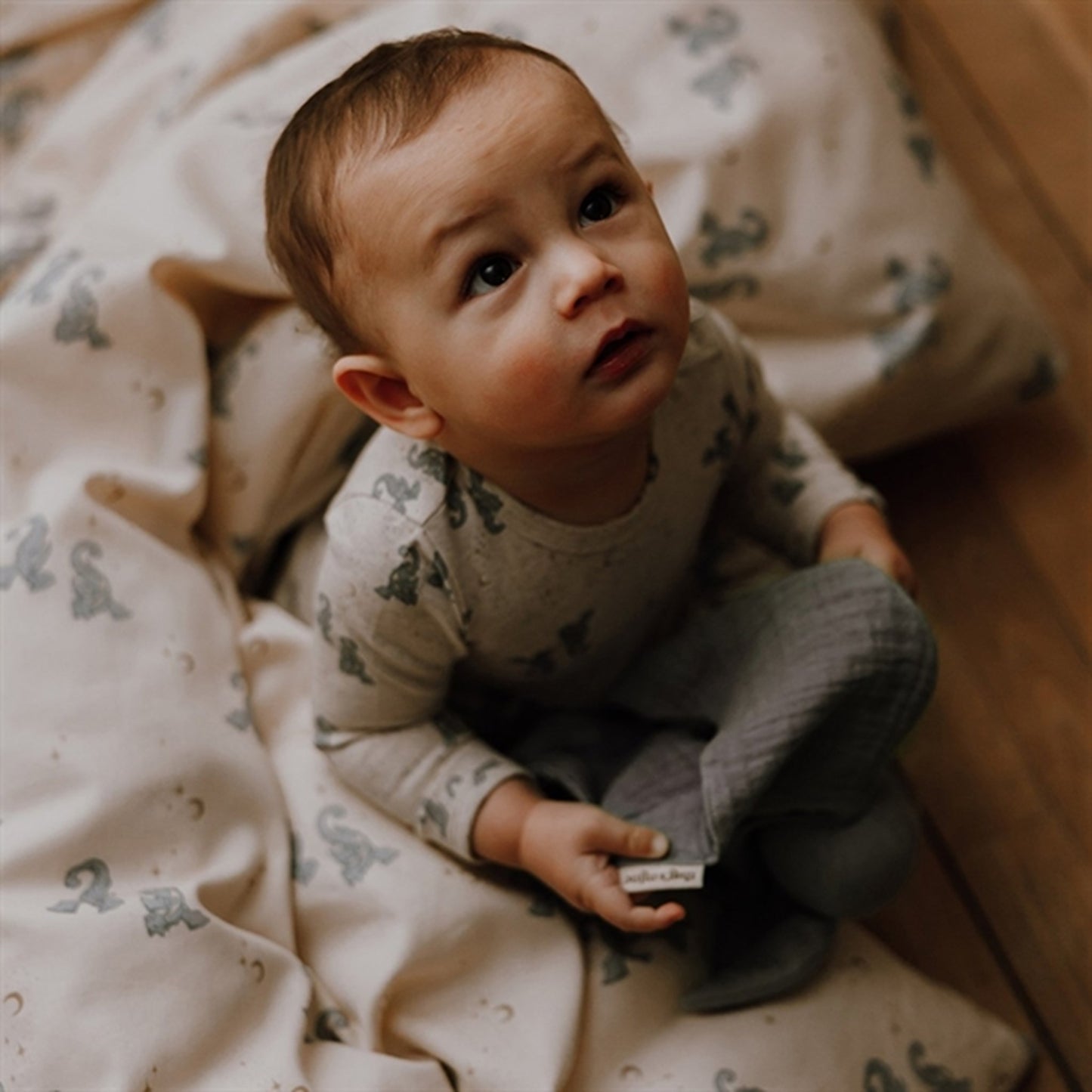 That's Mine Bedding Levi Luna Dragons