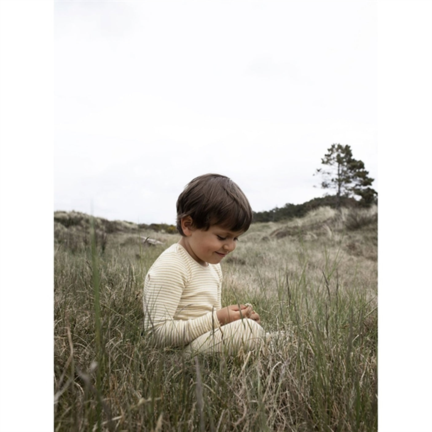 Serendipity Chamomile/Offwhite Stripe Leggings