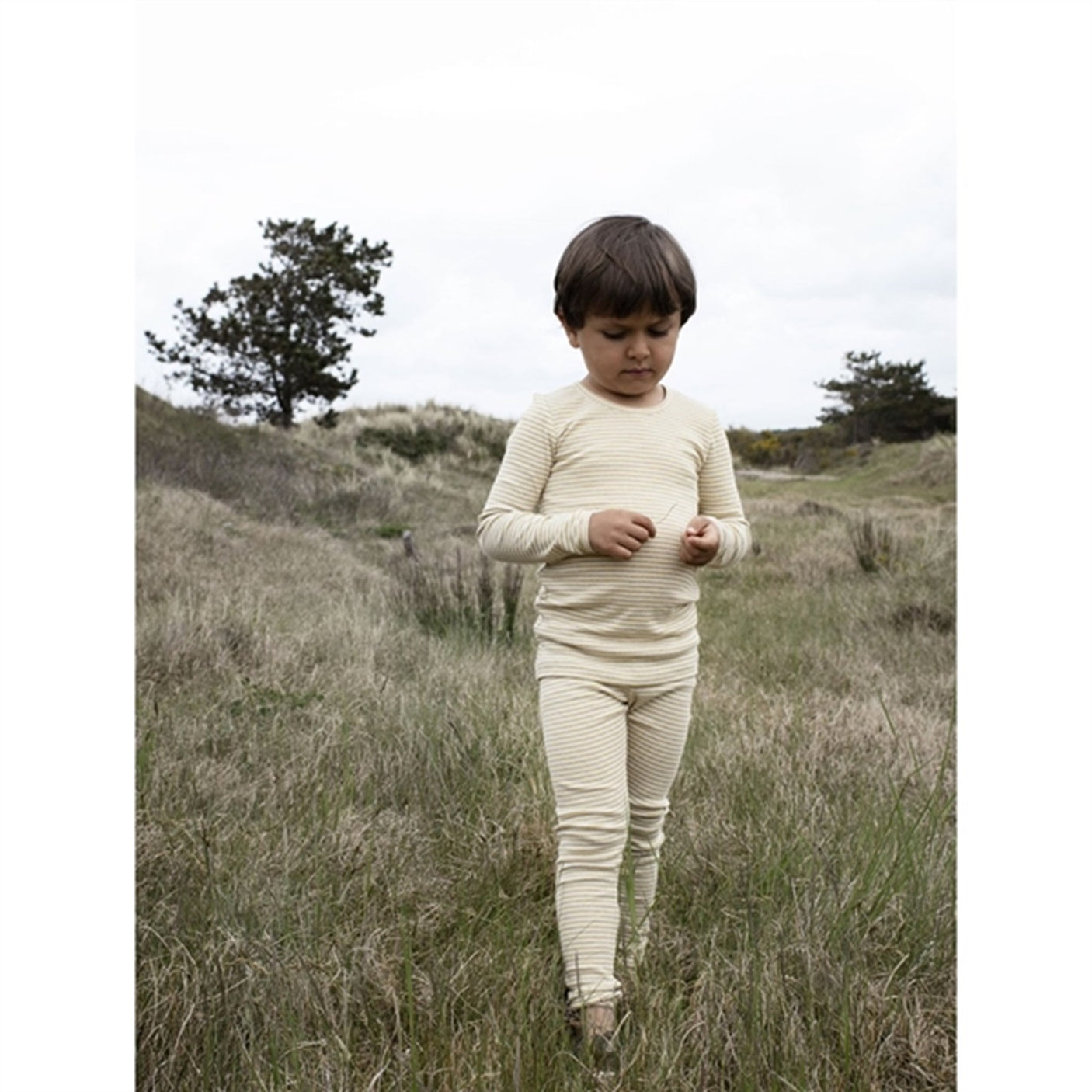 Serendipity Chamomile/Offwhite Slim Blouse Stripe