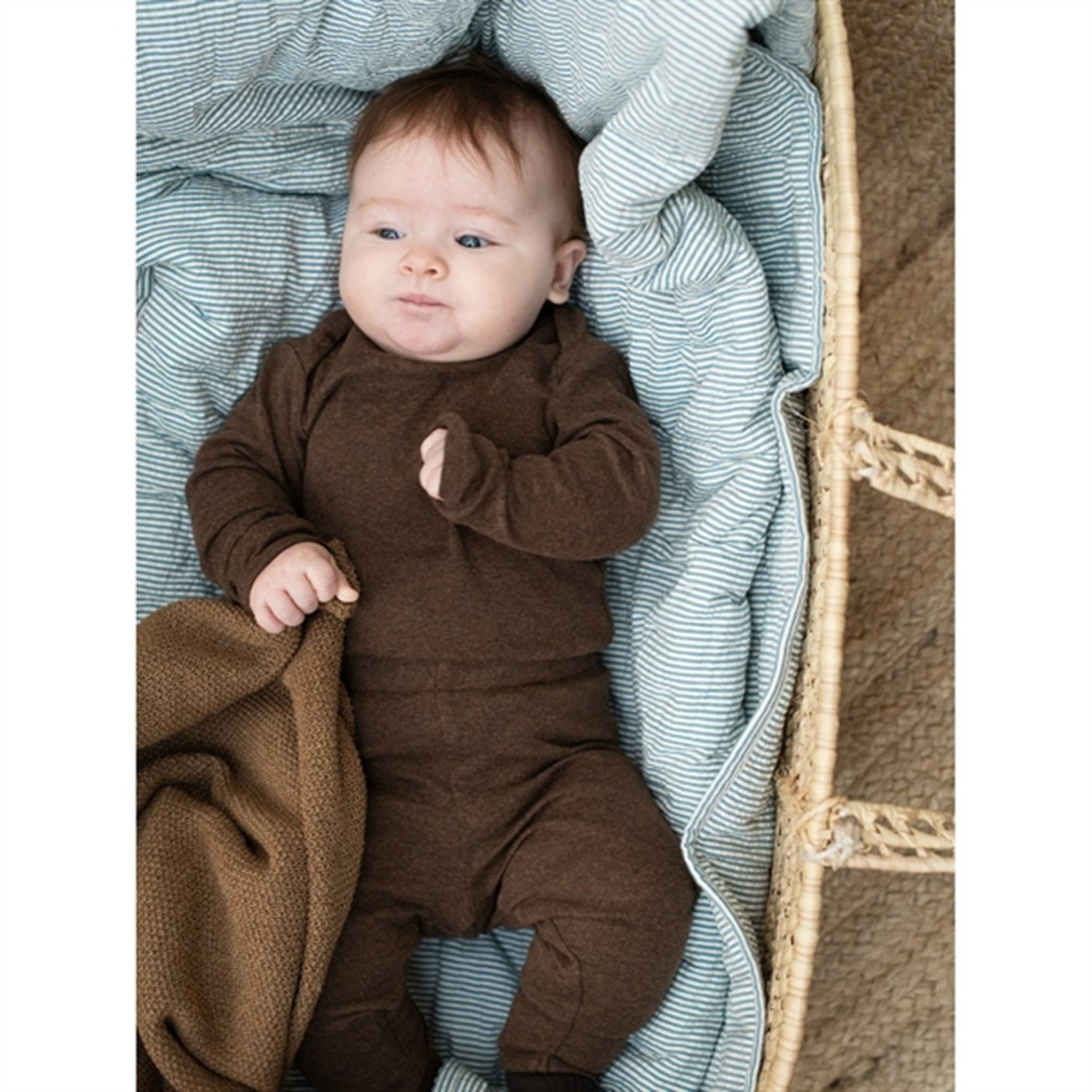 Serendipity Chestnut Baby Body