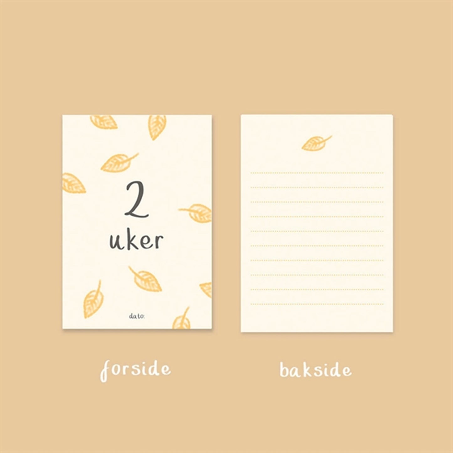 WITHWHITE Milestone Cards 35 Cards Norwegian