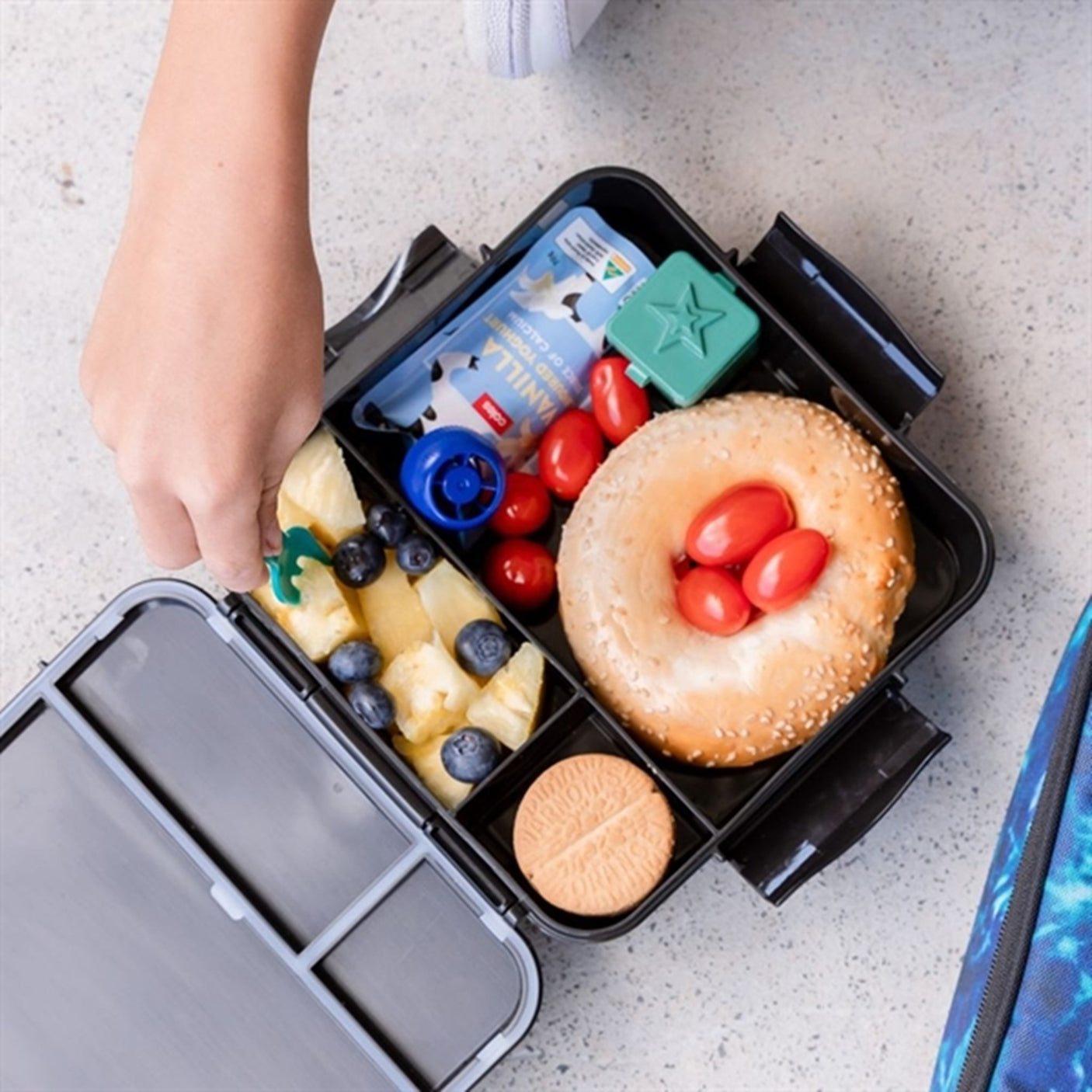 MontiiCo Montii Bento Plus - Midnight