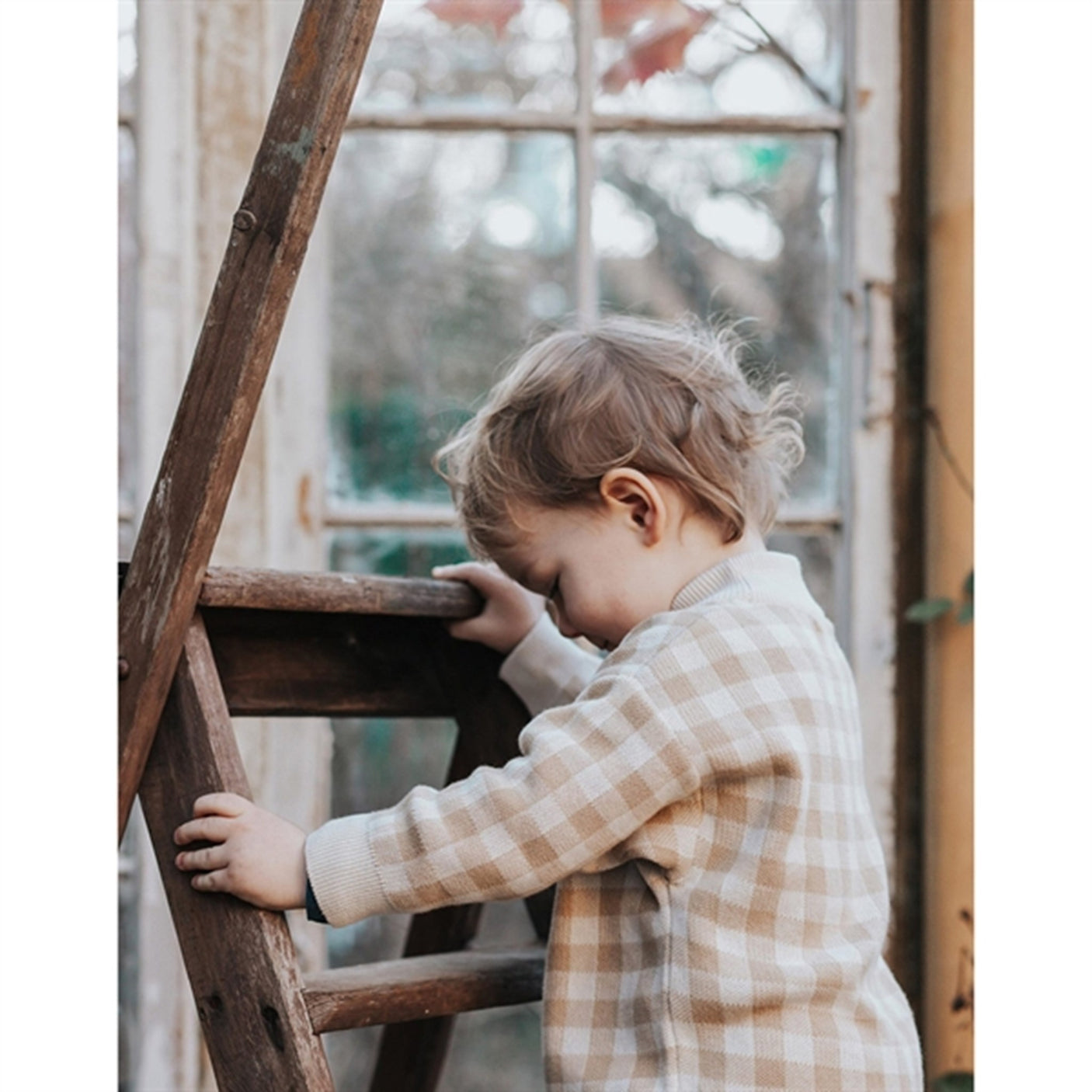 Monsieur Mini Gingham Sweater