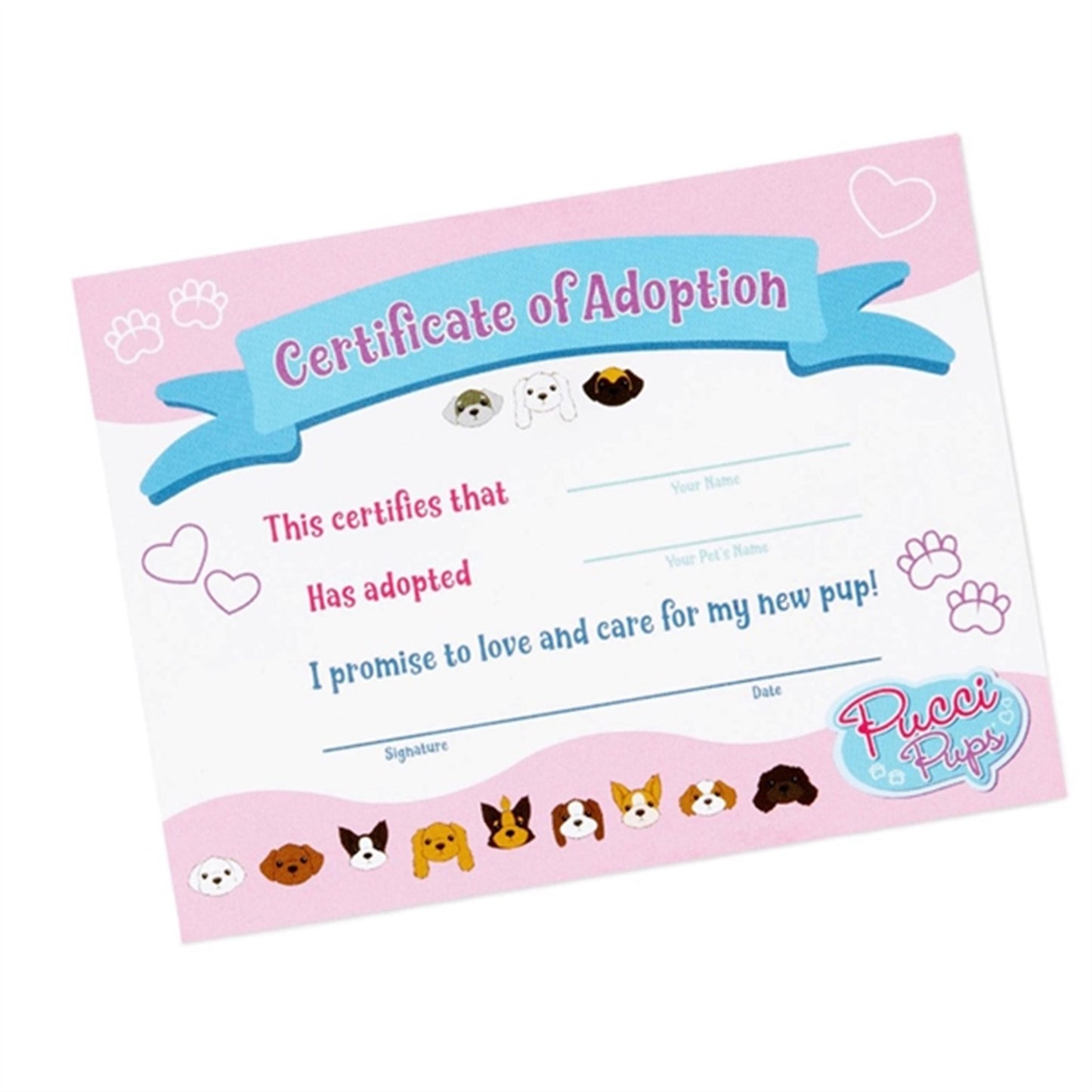 Pucci Pups Adopt a Dog Blue Basket 2