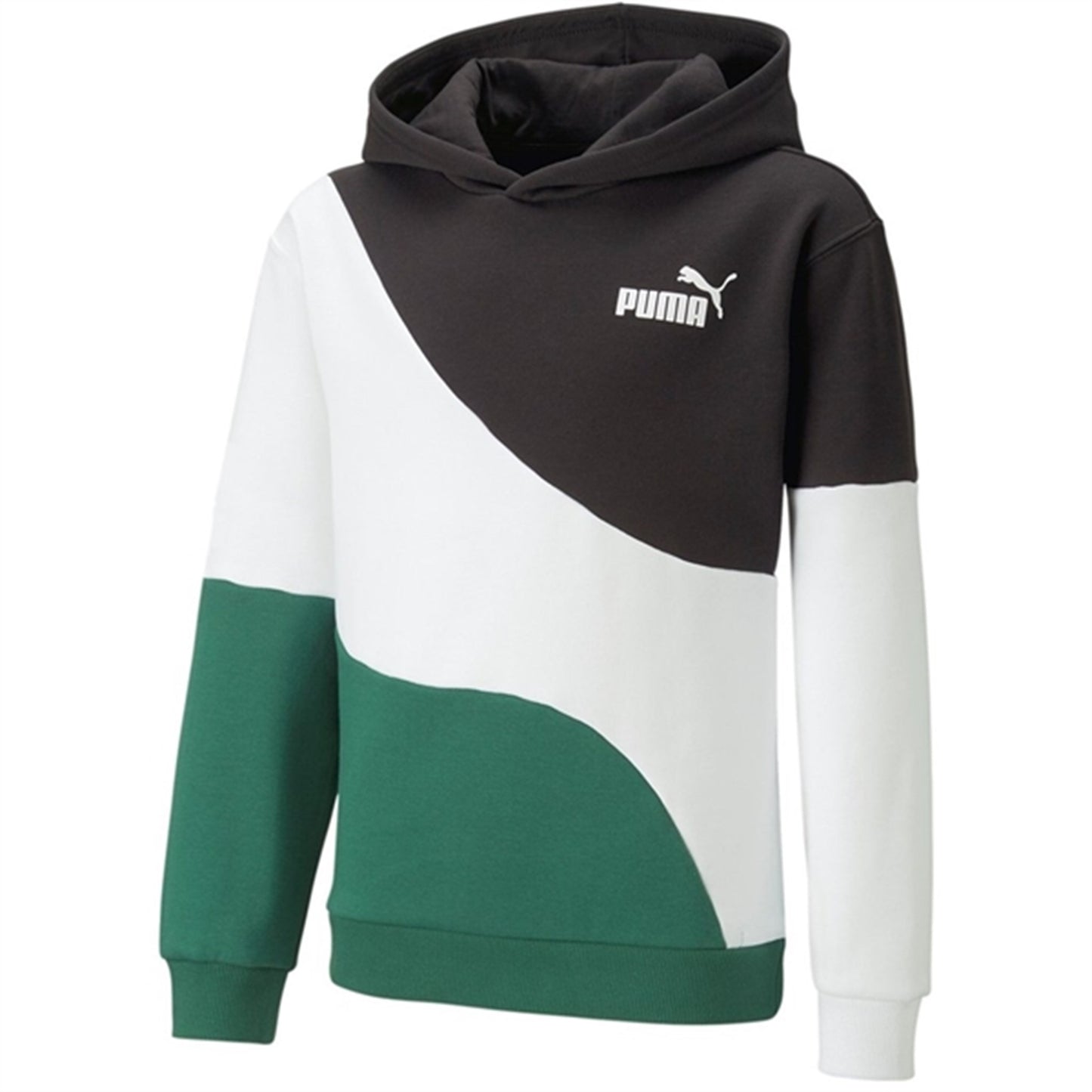 Puma Power Cat Hoodie FL Vine