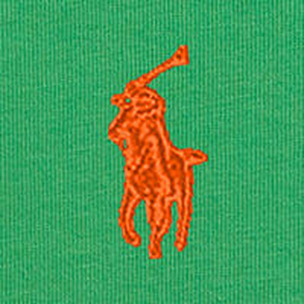 Ralph Lauren Baby T-Shirt Preppy Green