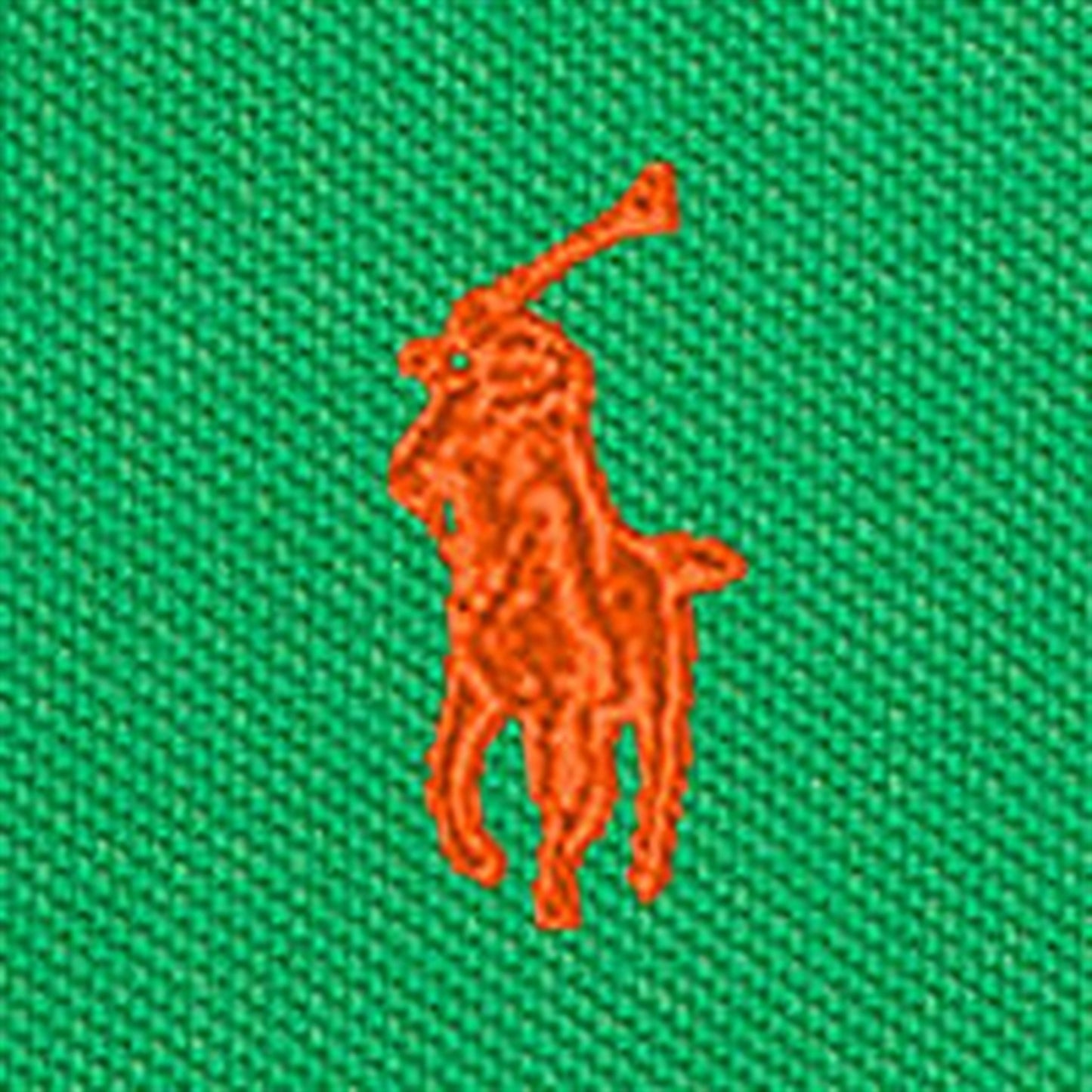 Polo Ralph Lauren Boys Polo Preppy Green