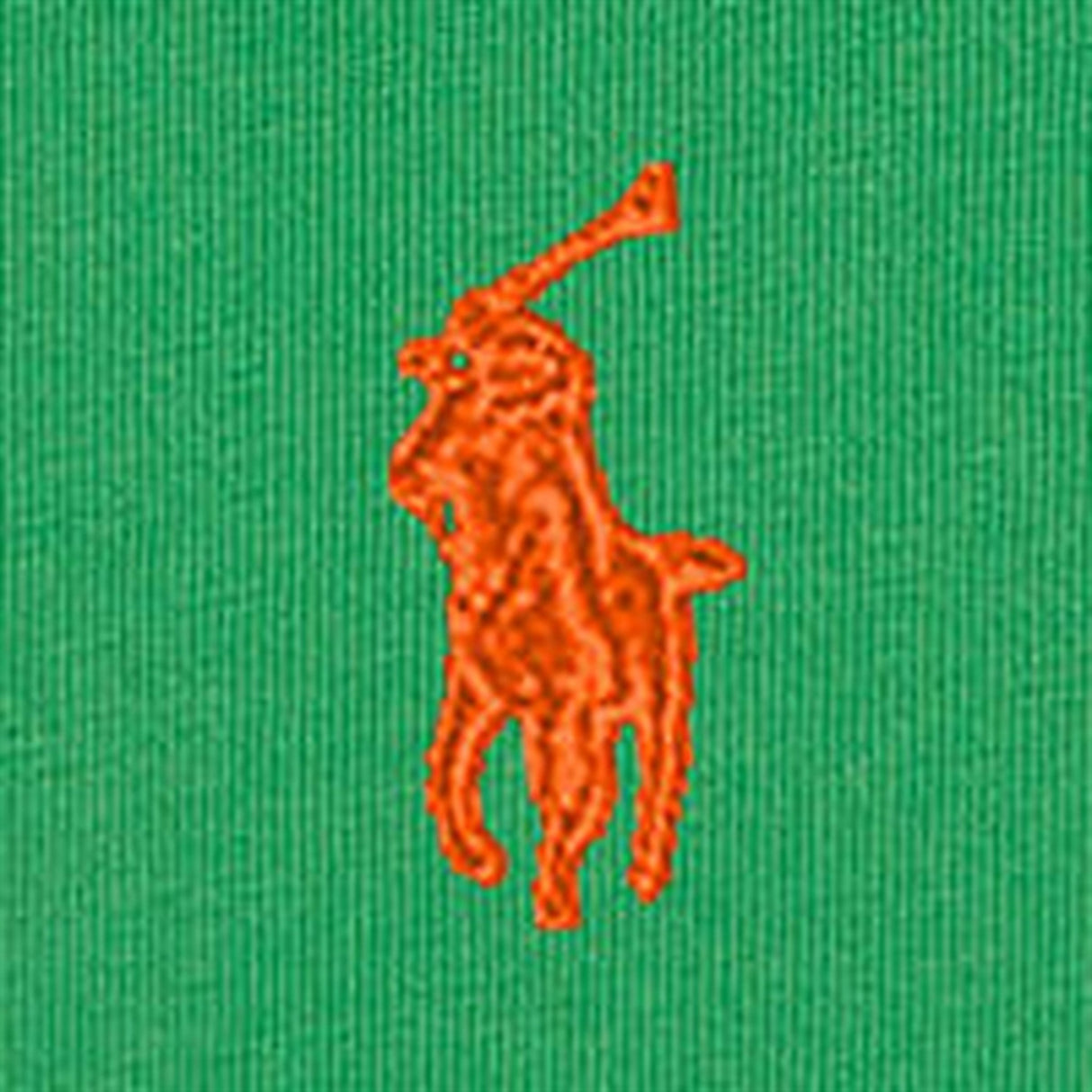 Polo Ralph Lauren Boys T-Shirt Preppy Green