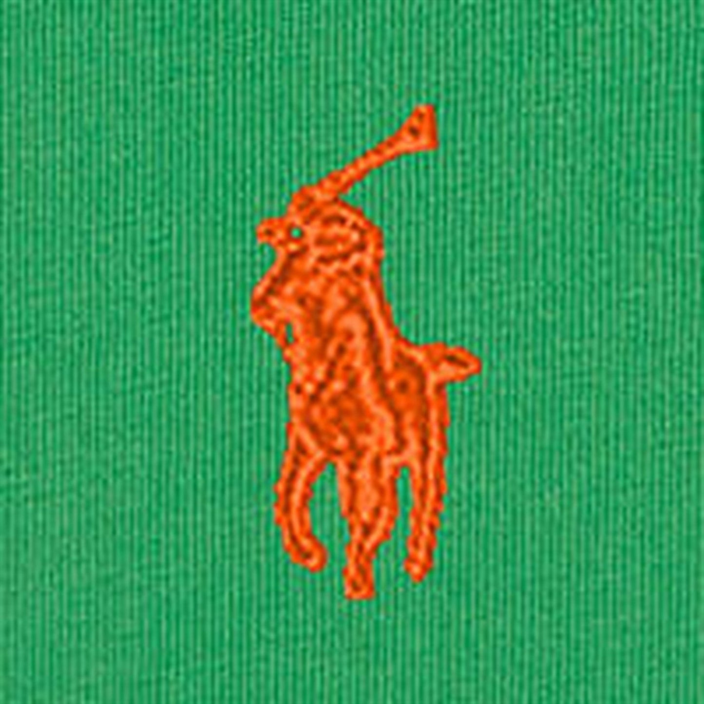 Polo Ralph Lauren Boys T-Shirt Preppy Green