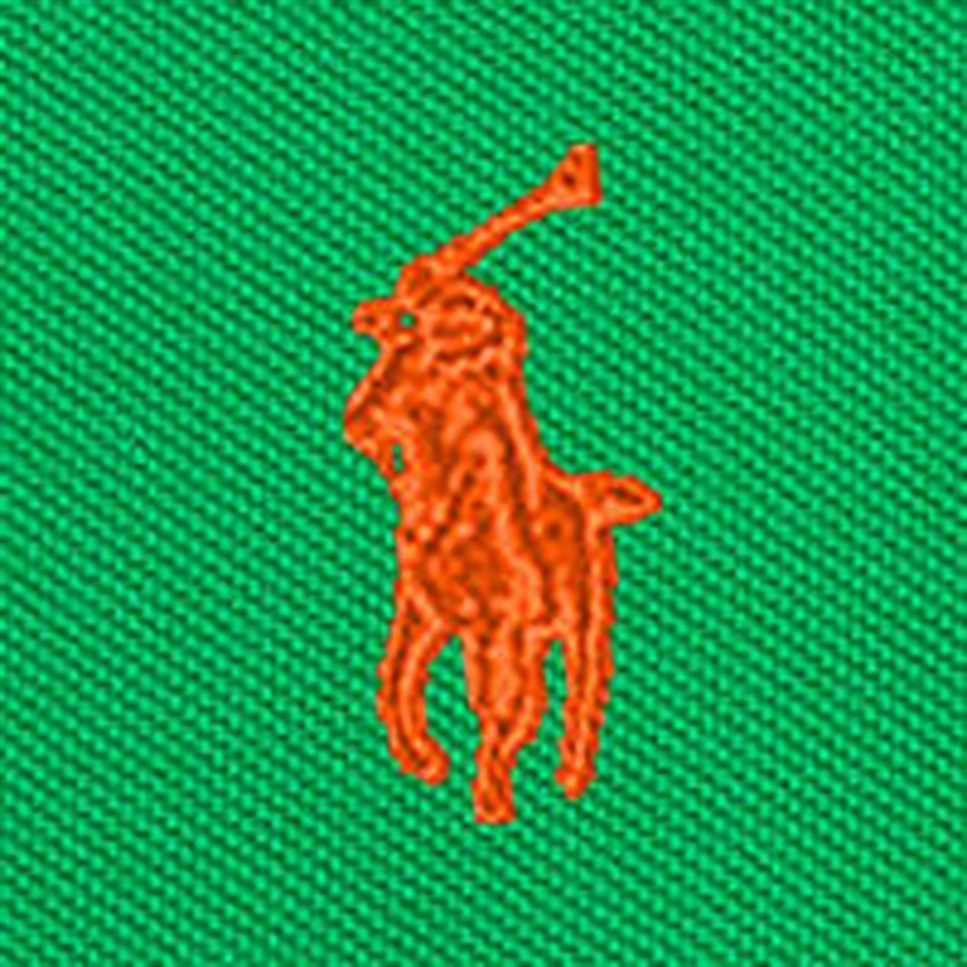 Polo Ralph Lauren Boys Polo Preppy Green