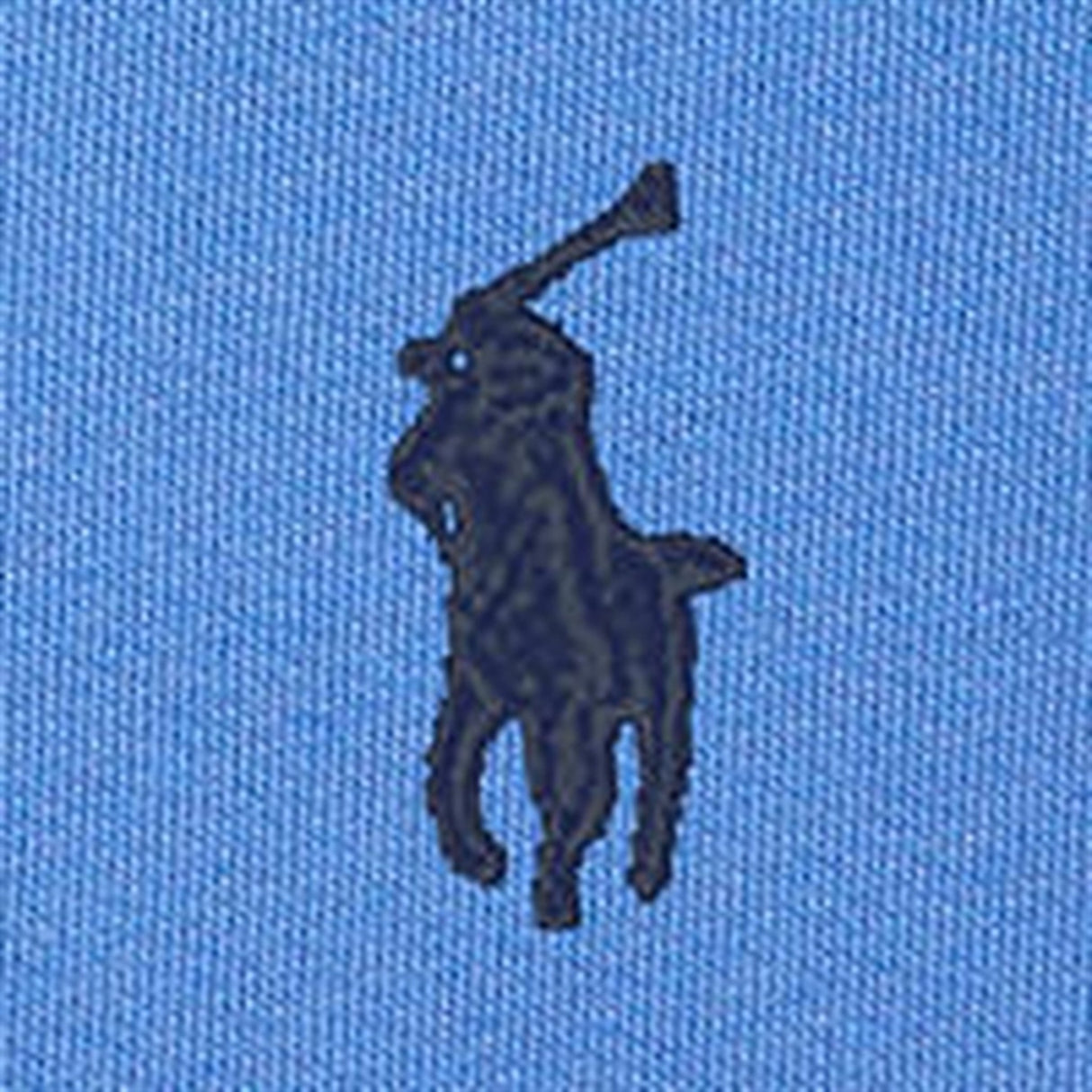 Polo Ralph Lauren Boys Sweatshirt Summer Blue