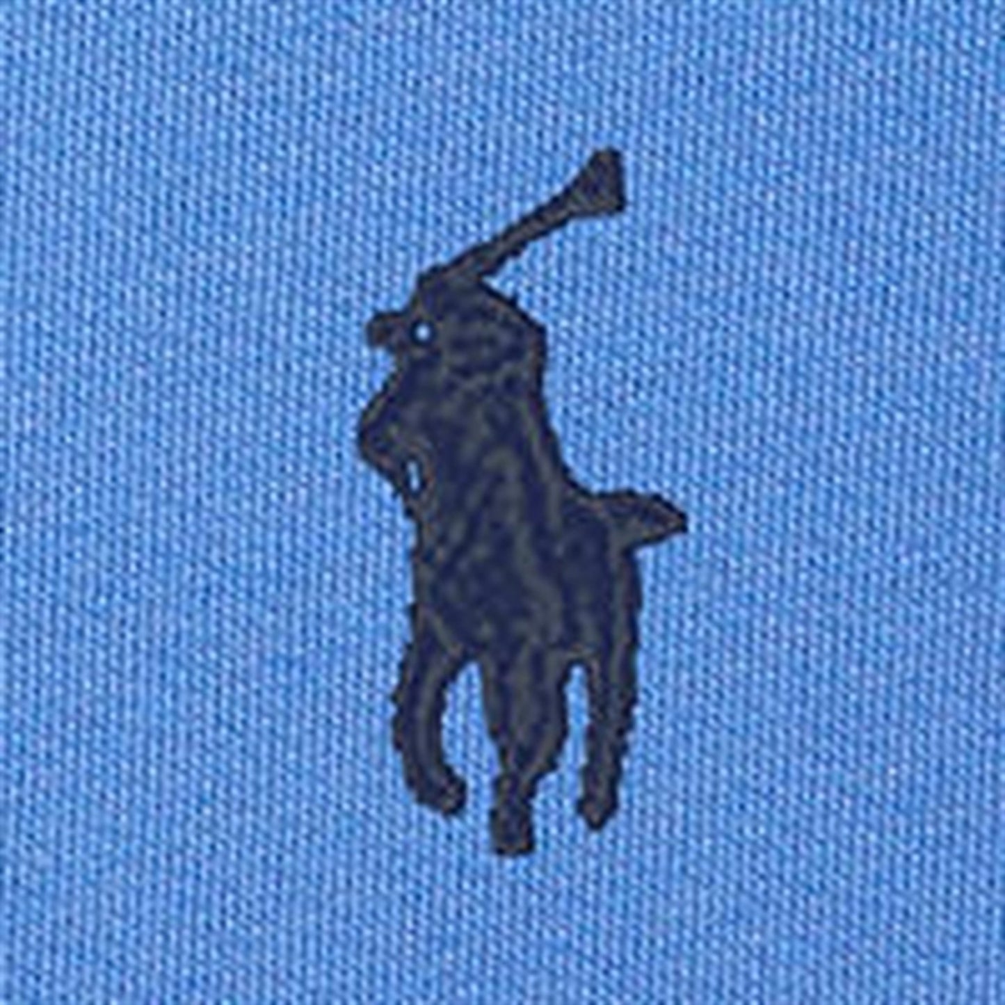Polo Ralph Lauren Boys Sweatshirt Summer Blue