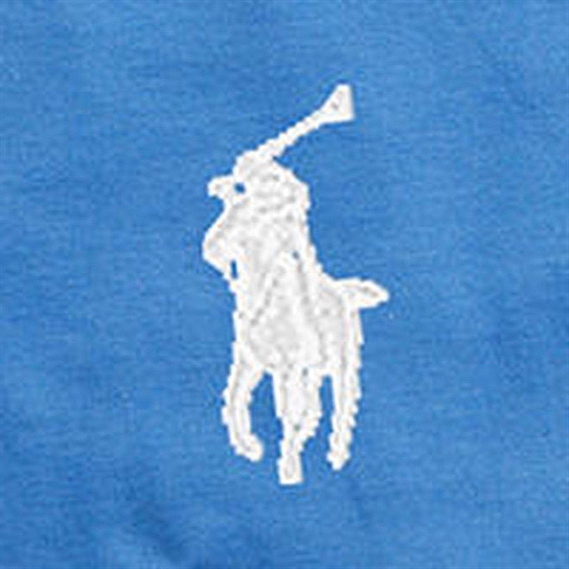 Polo Ralph Lauren Boys T-Shirt Liberty Blue