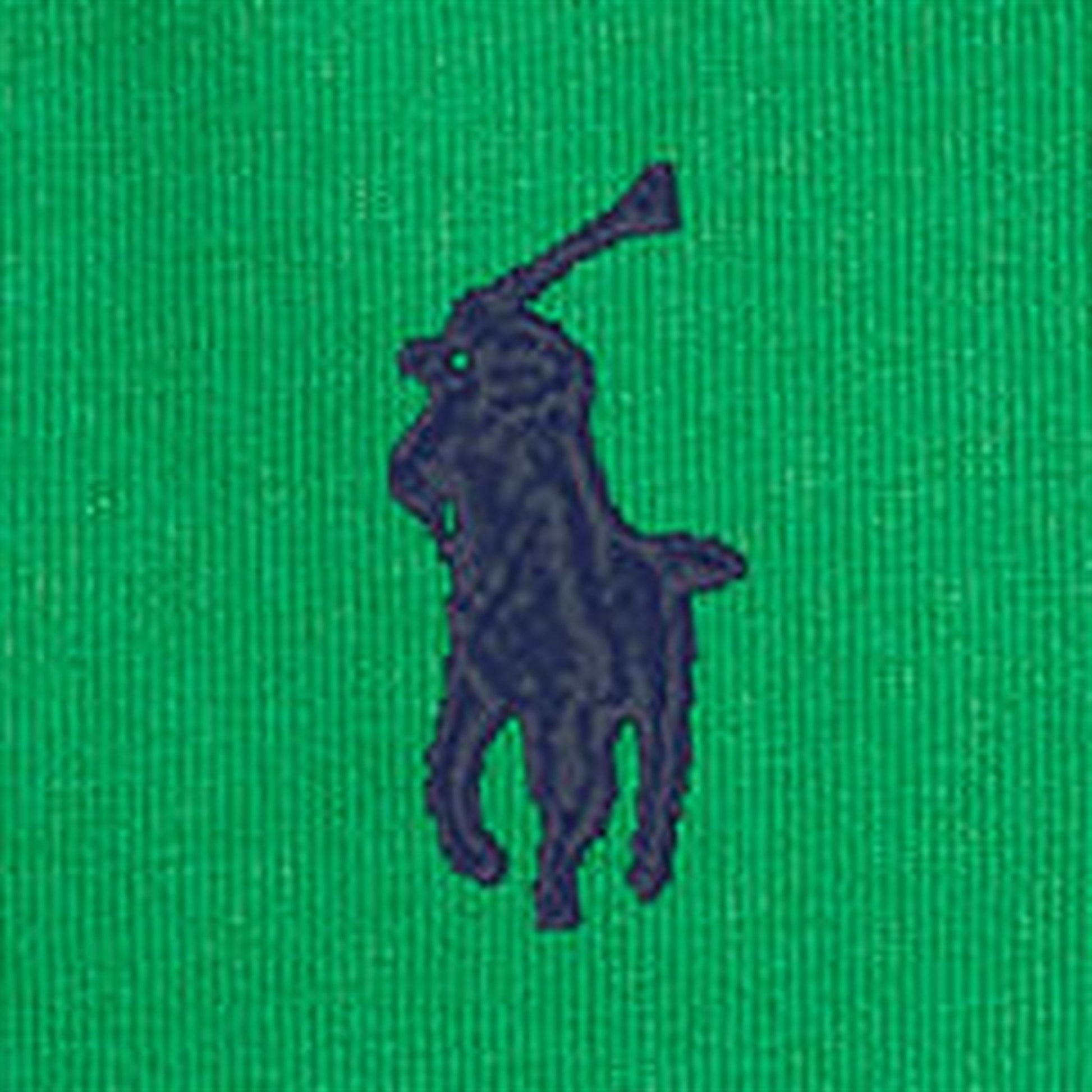 Polo Ralph Lauren Boys T-Shirt Preppy Green