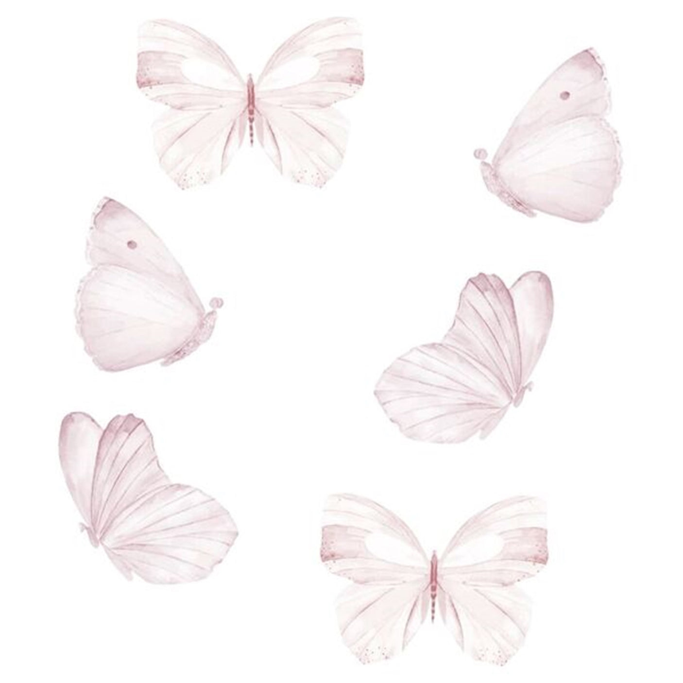 That's Mine Wall Stories Butterflies White