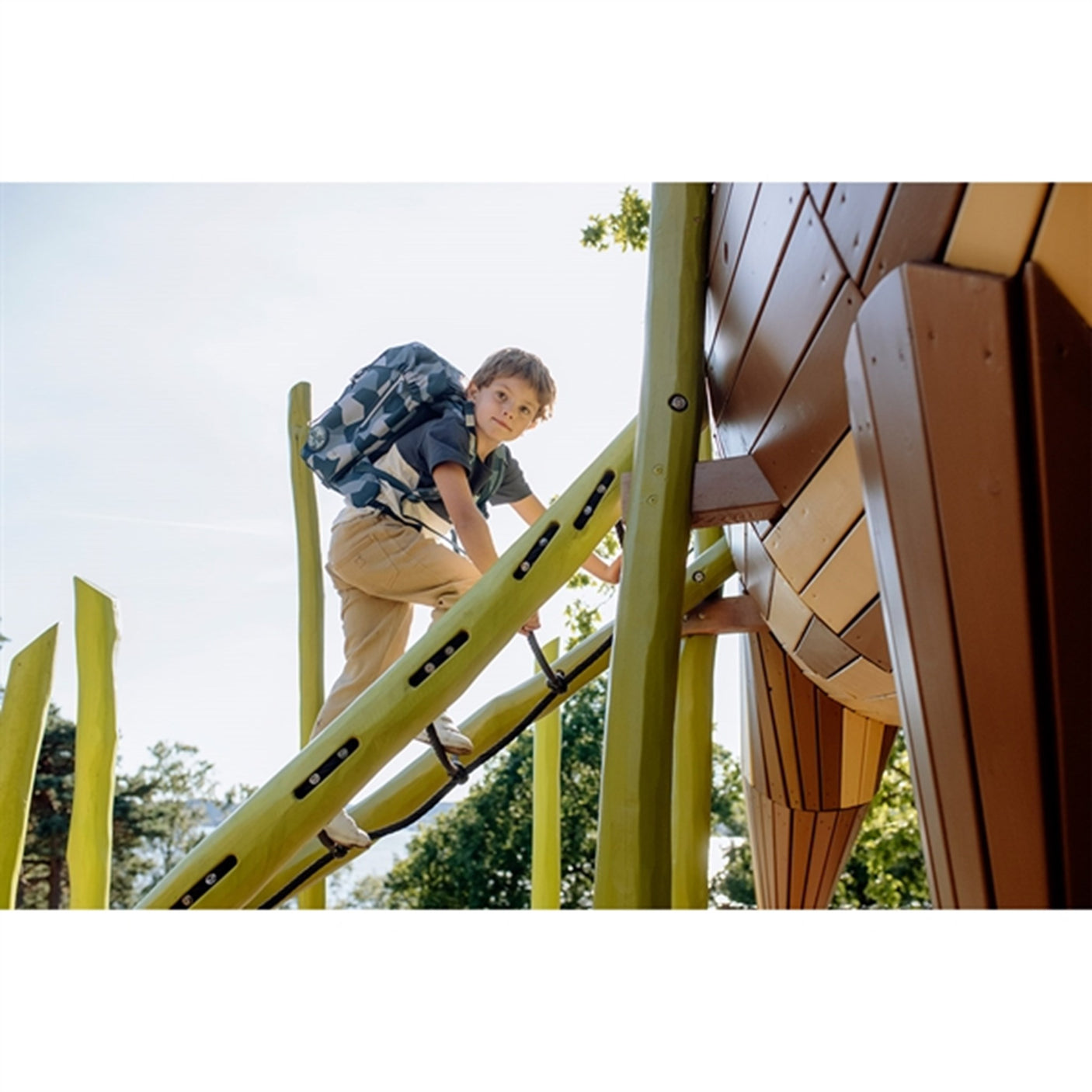 Beckmann Classic 6 pcs set Tiger Race