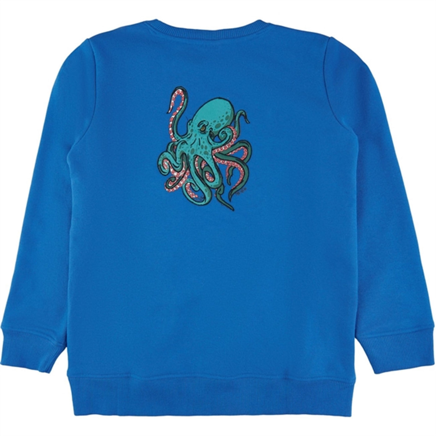 THE NEW Daphne Graham Sweatshirt