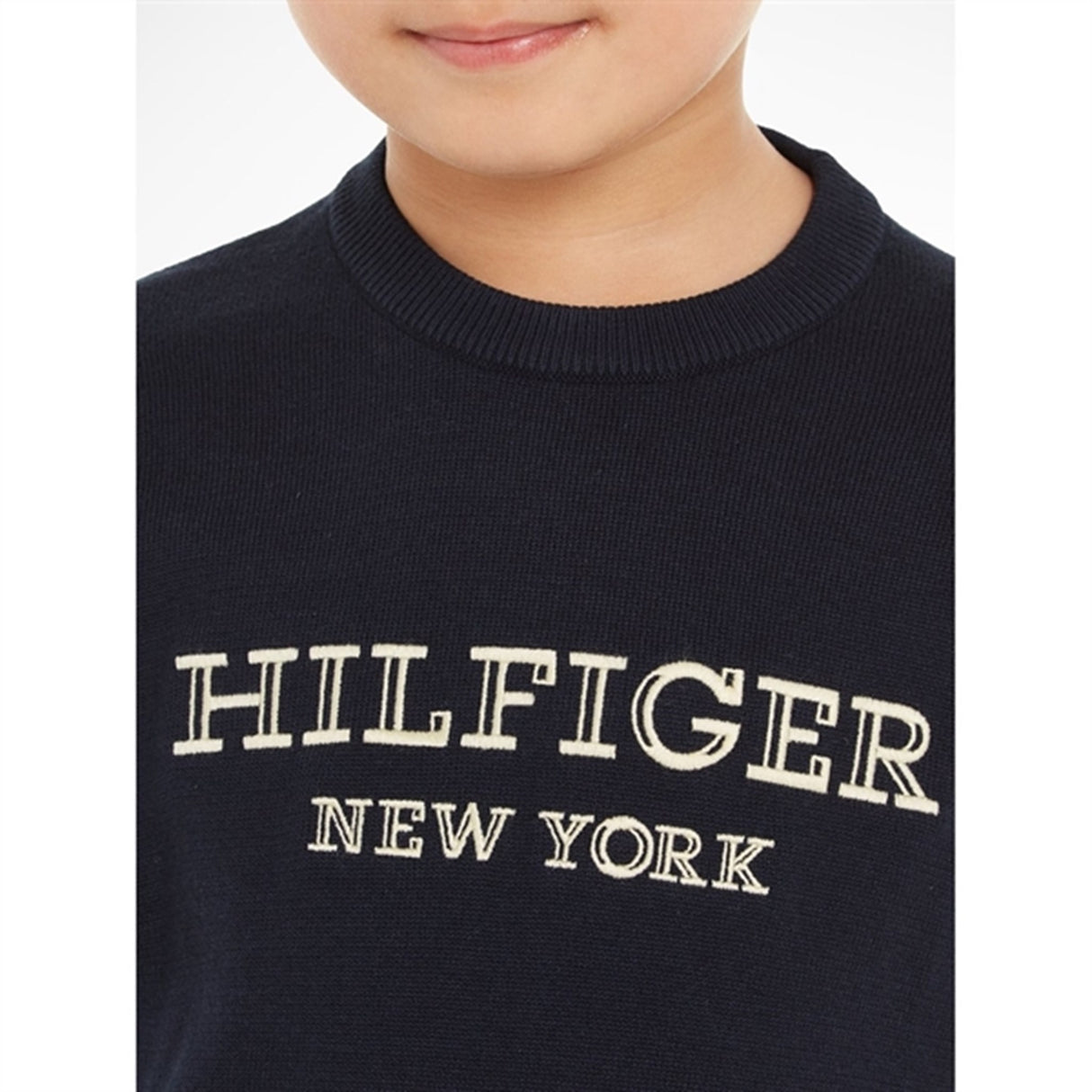 Tommy Hilfiger Monotype Knit Sweater Desert Sky