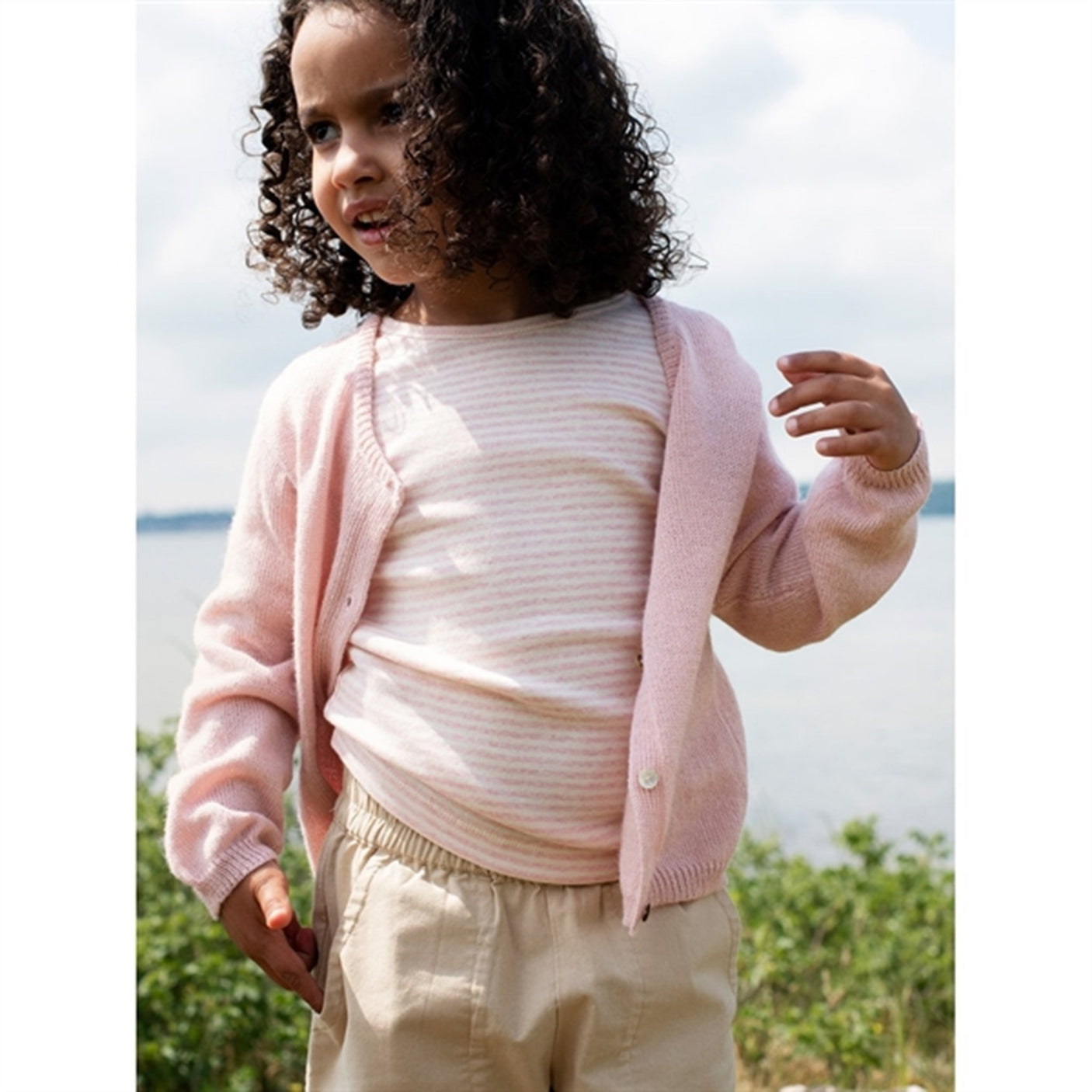 Serendipity Safari Shorts