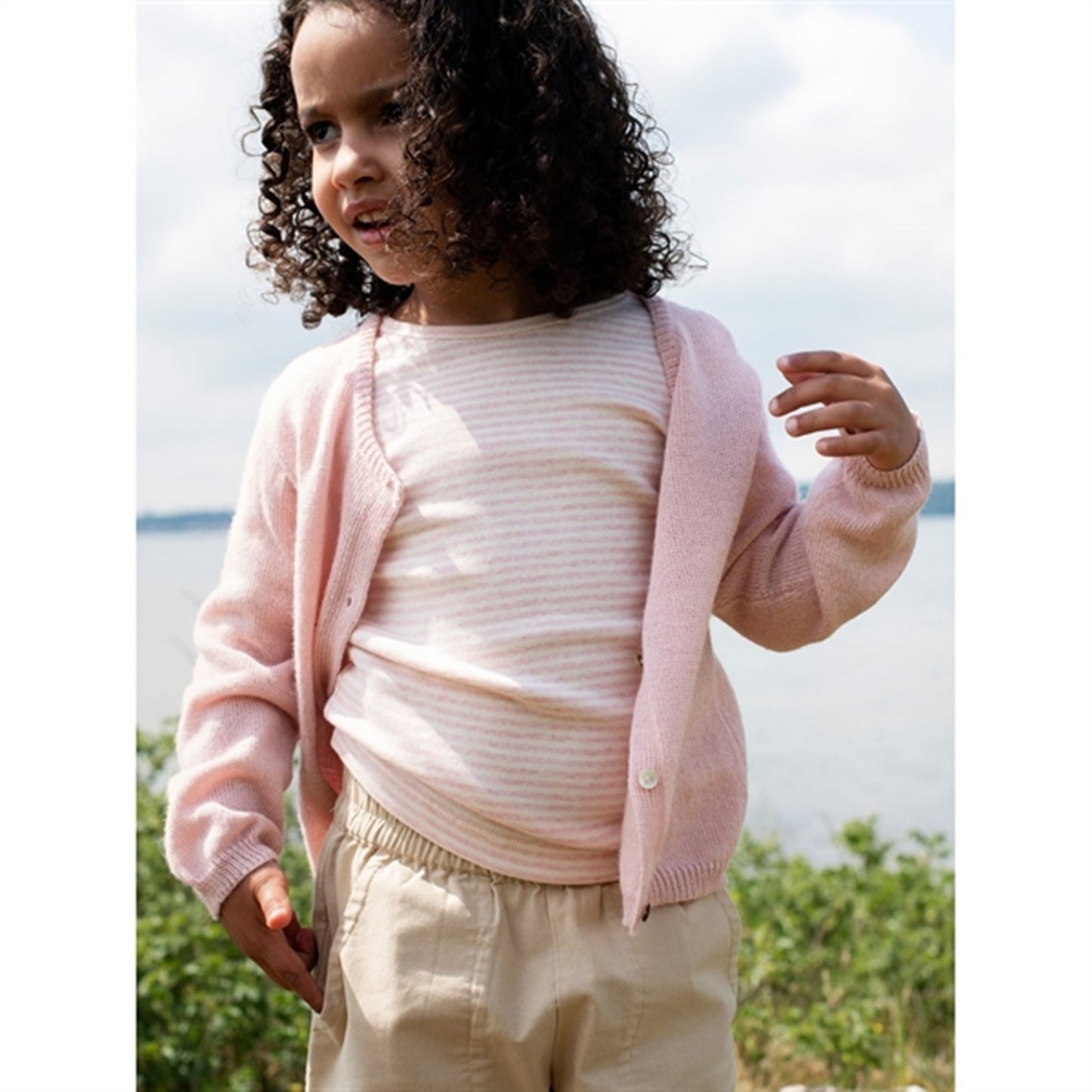 Serendipity Safari Shorts