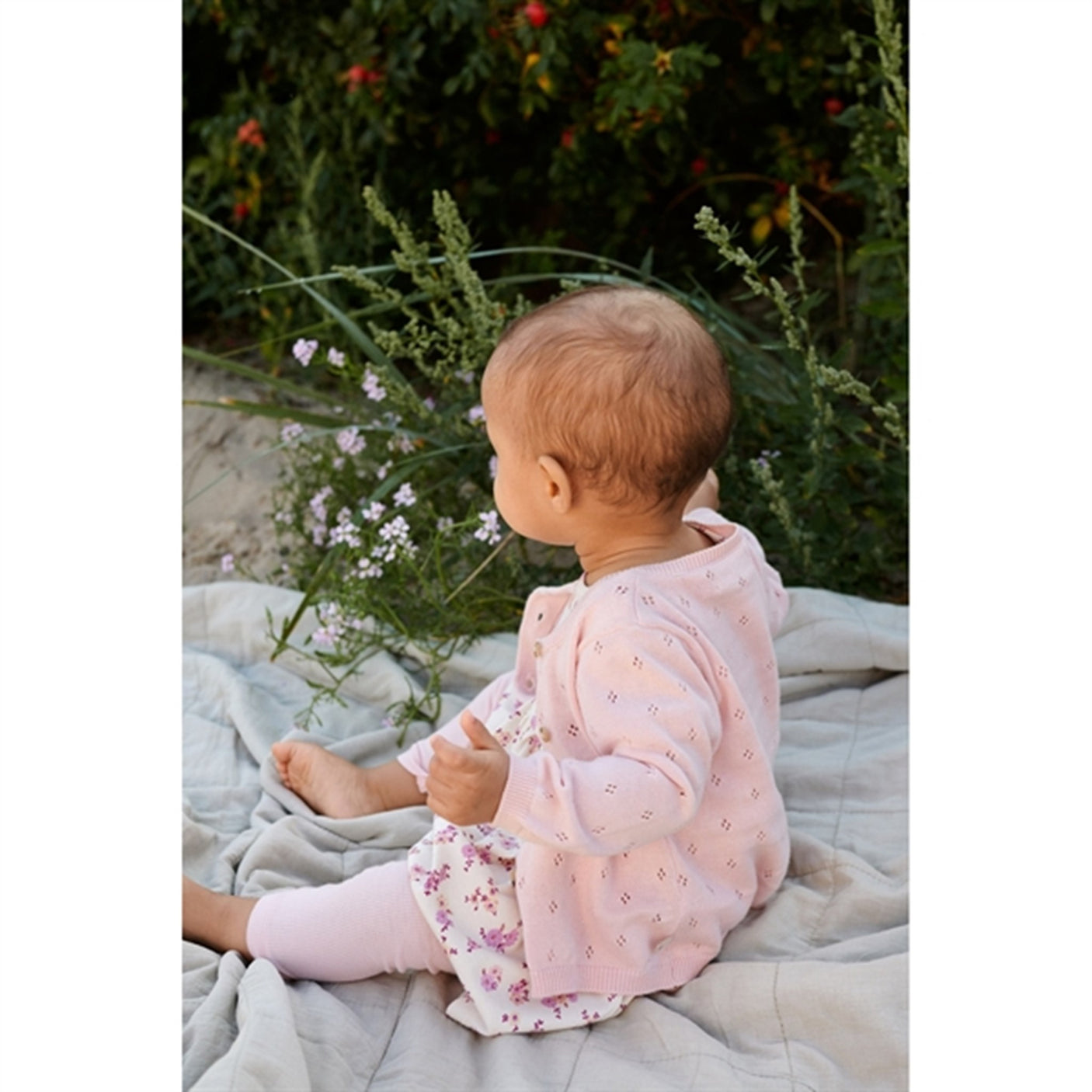 Wheat Rose Ballet Knit Cardigan Maia