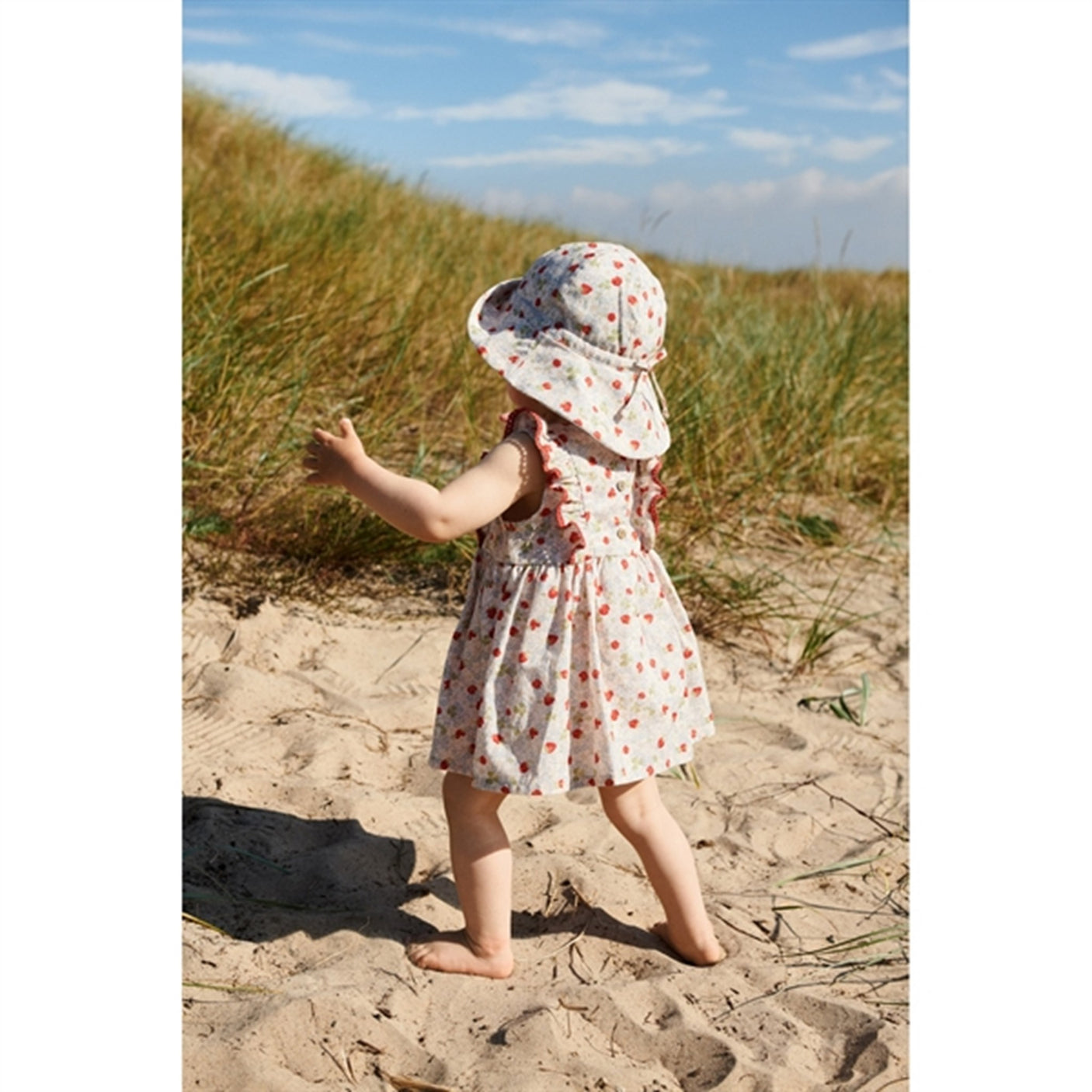 Wheat Rose Strawberries Body Dress Suit Lace Sofia