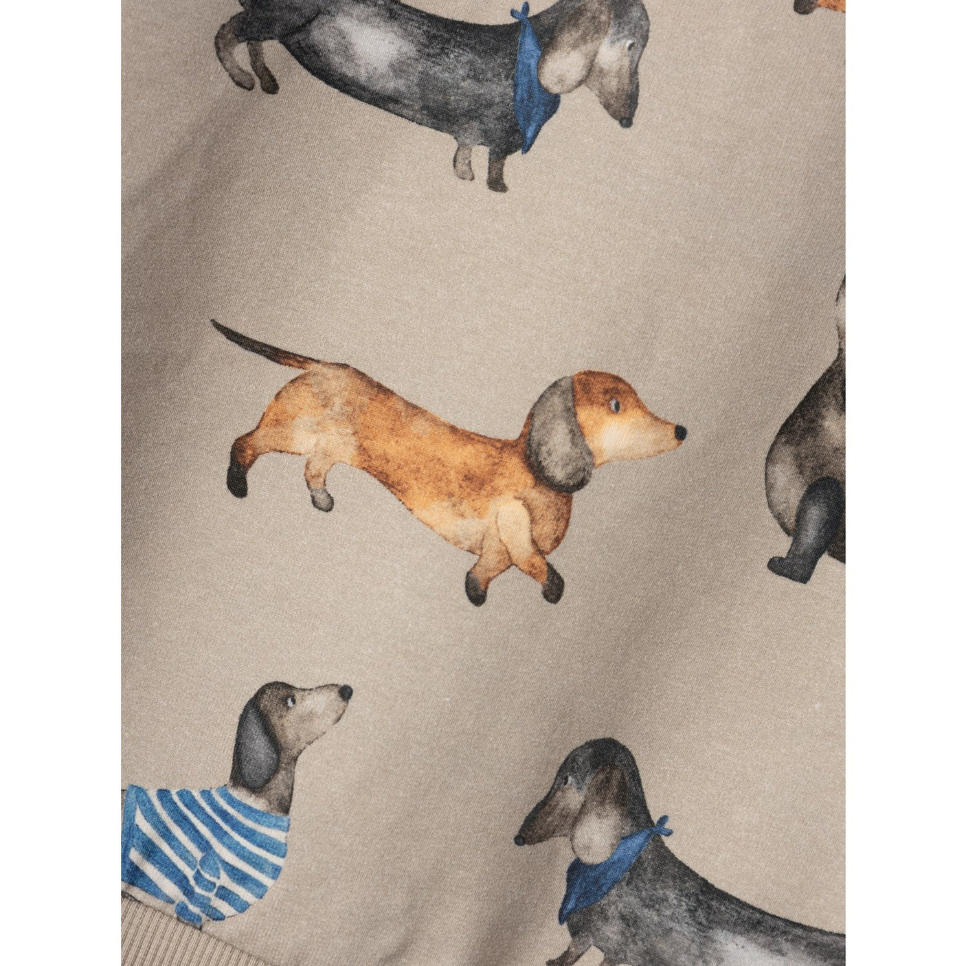 Name It Pure Cashmere Kingo Sweatshirt