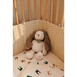 LieWood Sandy Berto DAnd Teddy