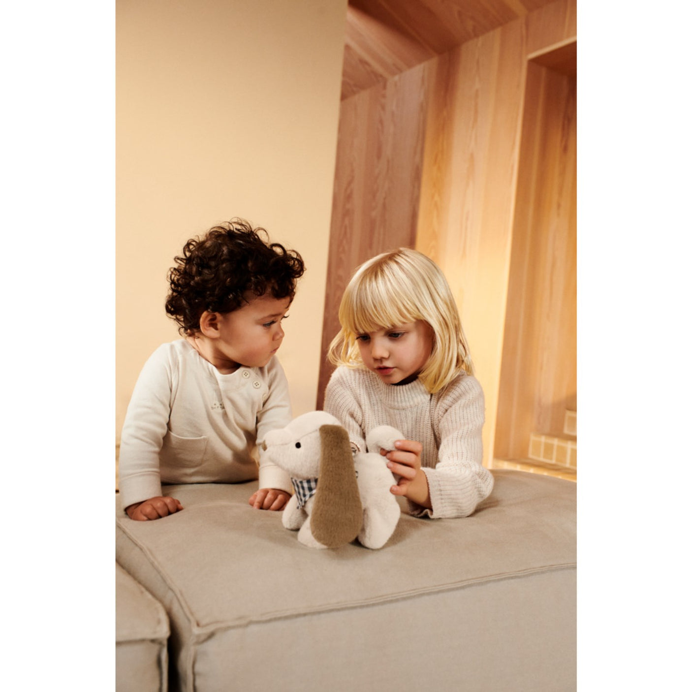 LieWood Sandy Dev DAnd Motoric Teddy