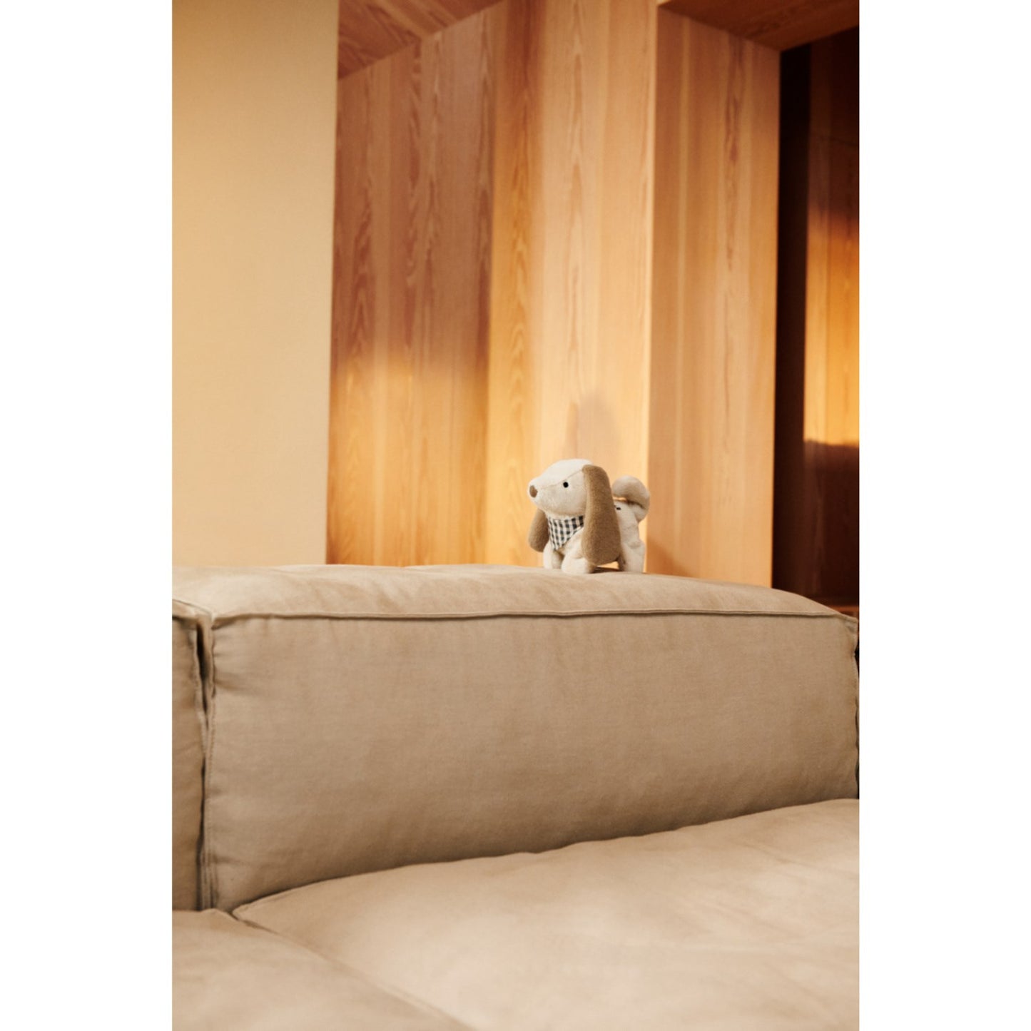 LieWood Sandy Dev DAnd Motoric Teddy