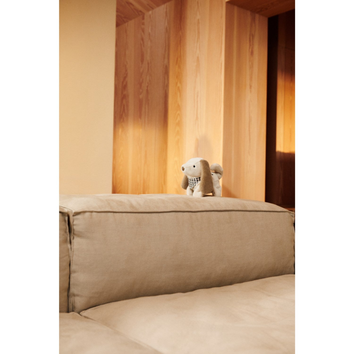 LieWood Sandy Dev DAnd Motoric Teddy