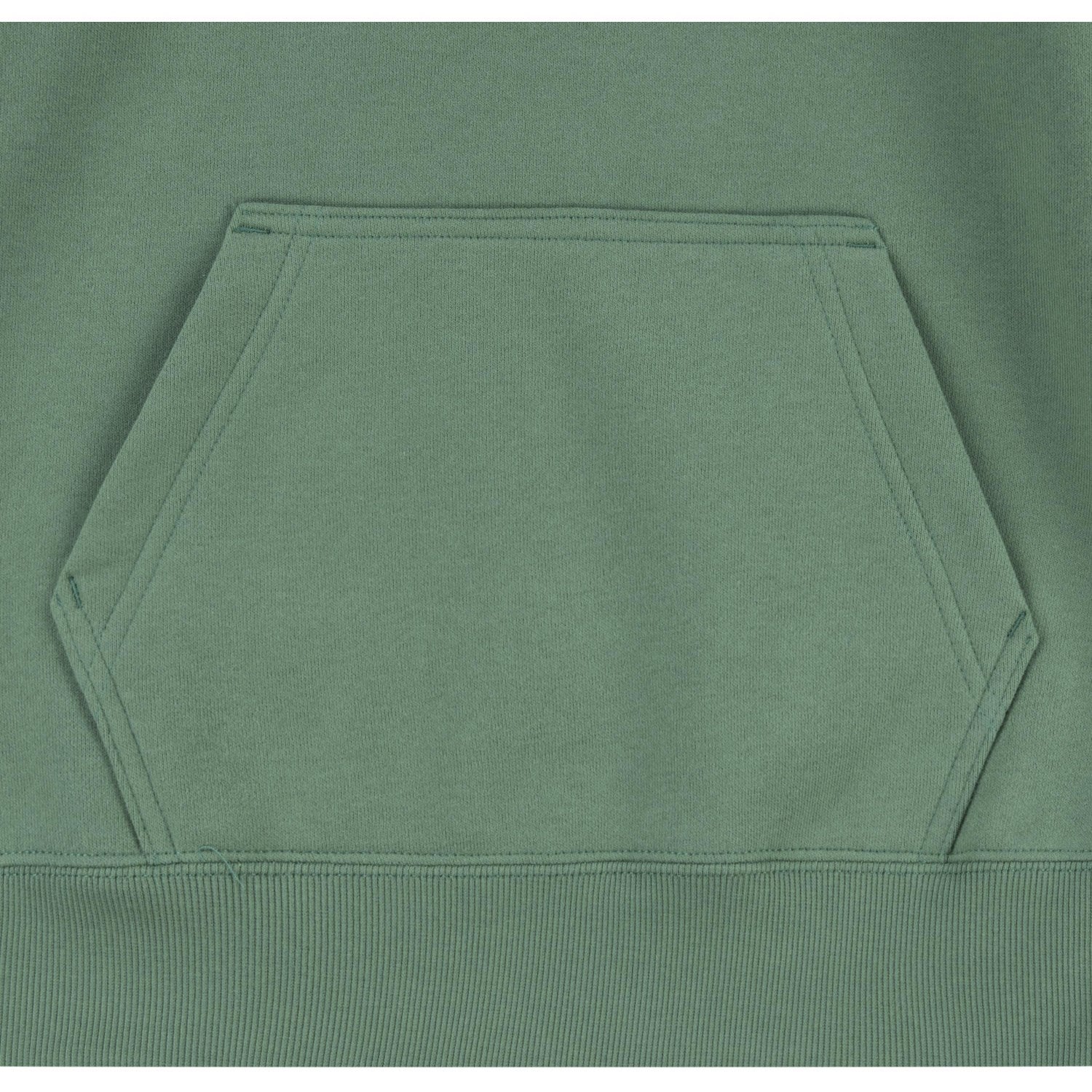 Levi's GREEN Lasso It Up Pullover Hoodie