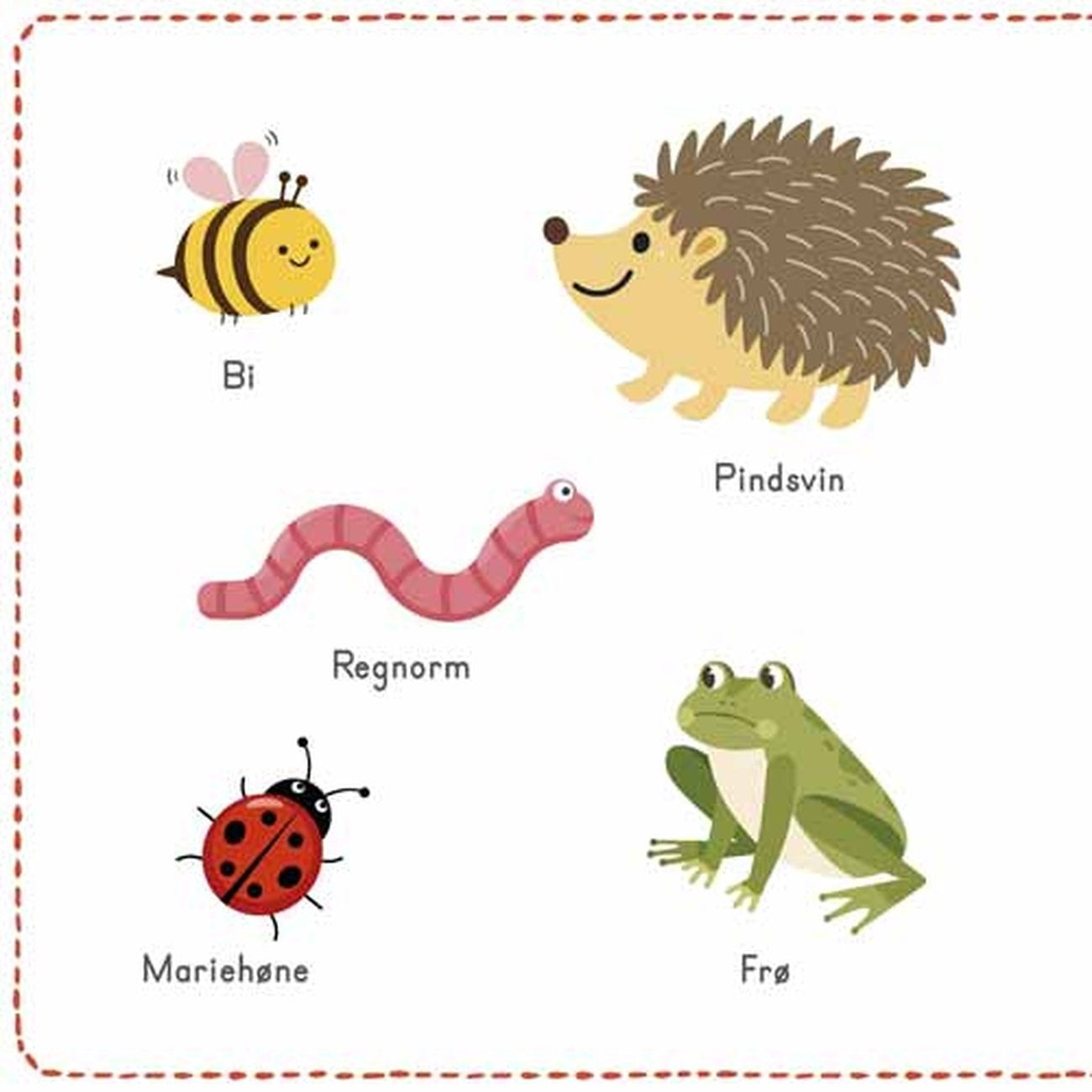 Bolden Min Fuld-Af-Farver Billedordbog: Dyr