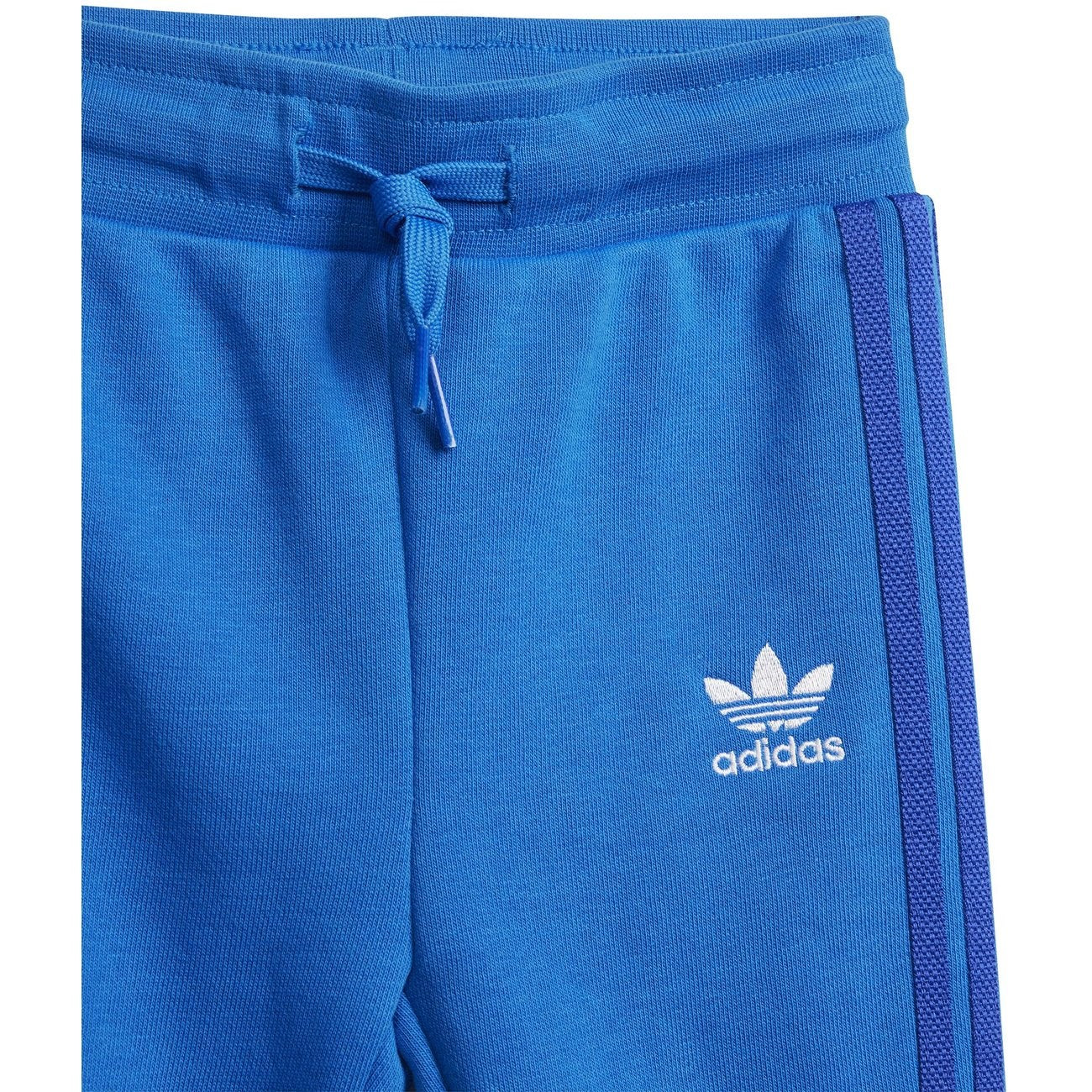 adidas Originals Blue Bird / Semi Lucid Blue Sweat Set