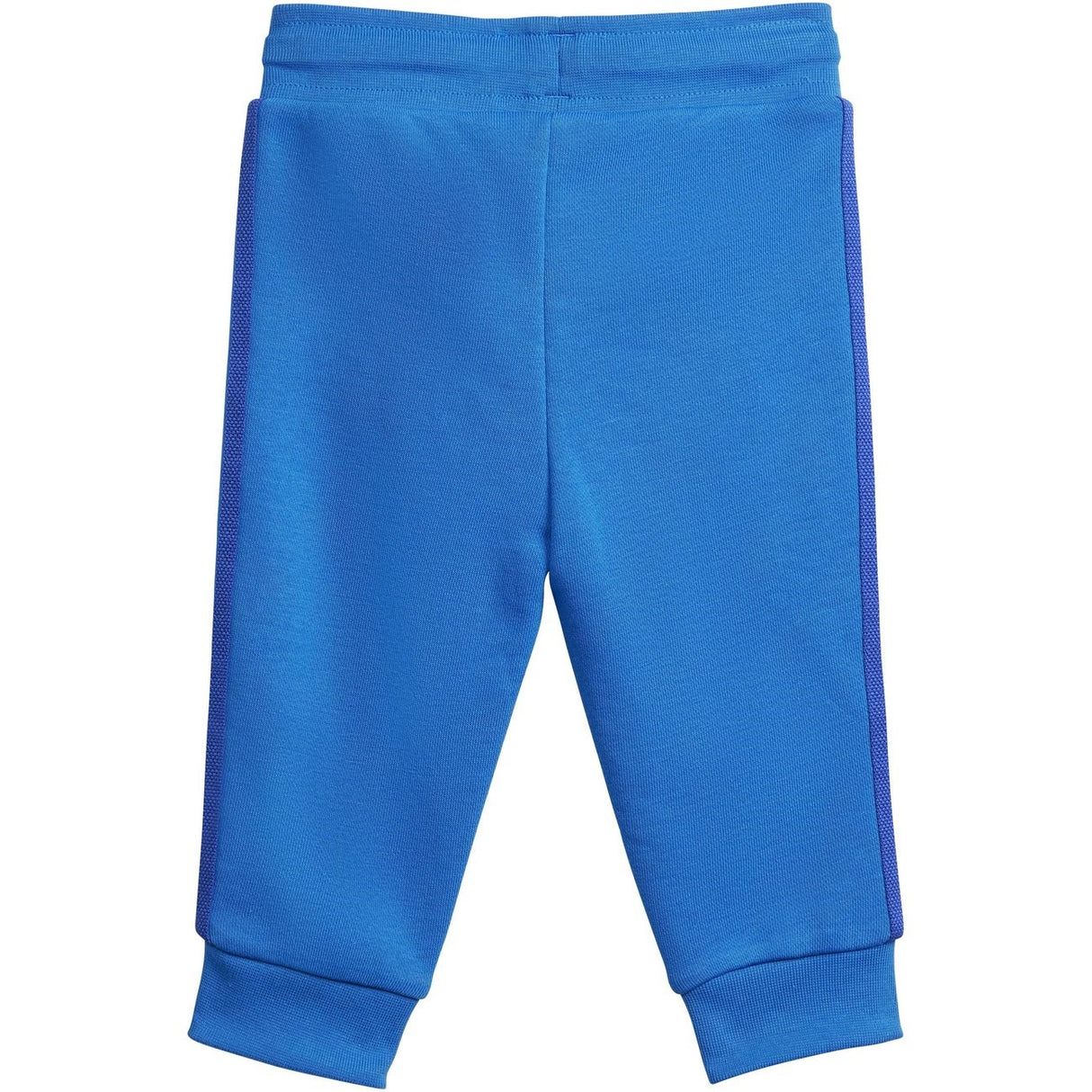 adidas Originals Blue Bird / Semi Lucid Blue Sweat Set