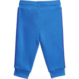 adidas Originals Blue Bird / Semi Lucid Blue Sweat Set