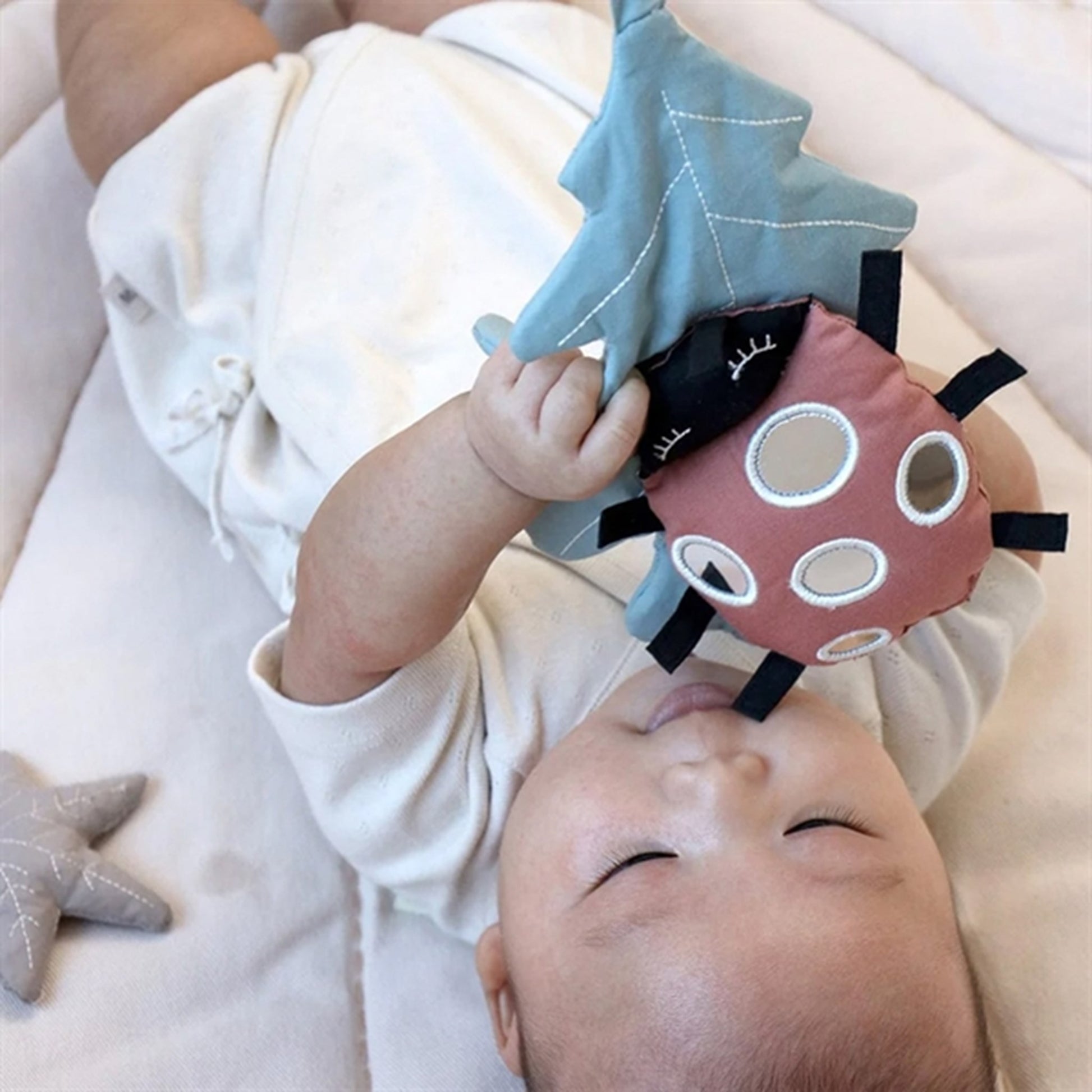 Cam Cam Copenhagen Activity Toys Ladybug Dusty Green