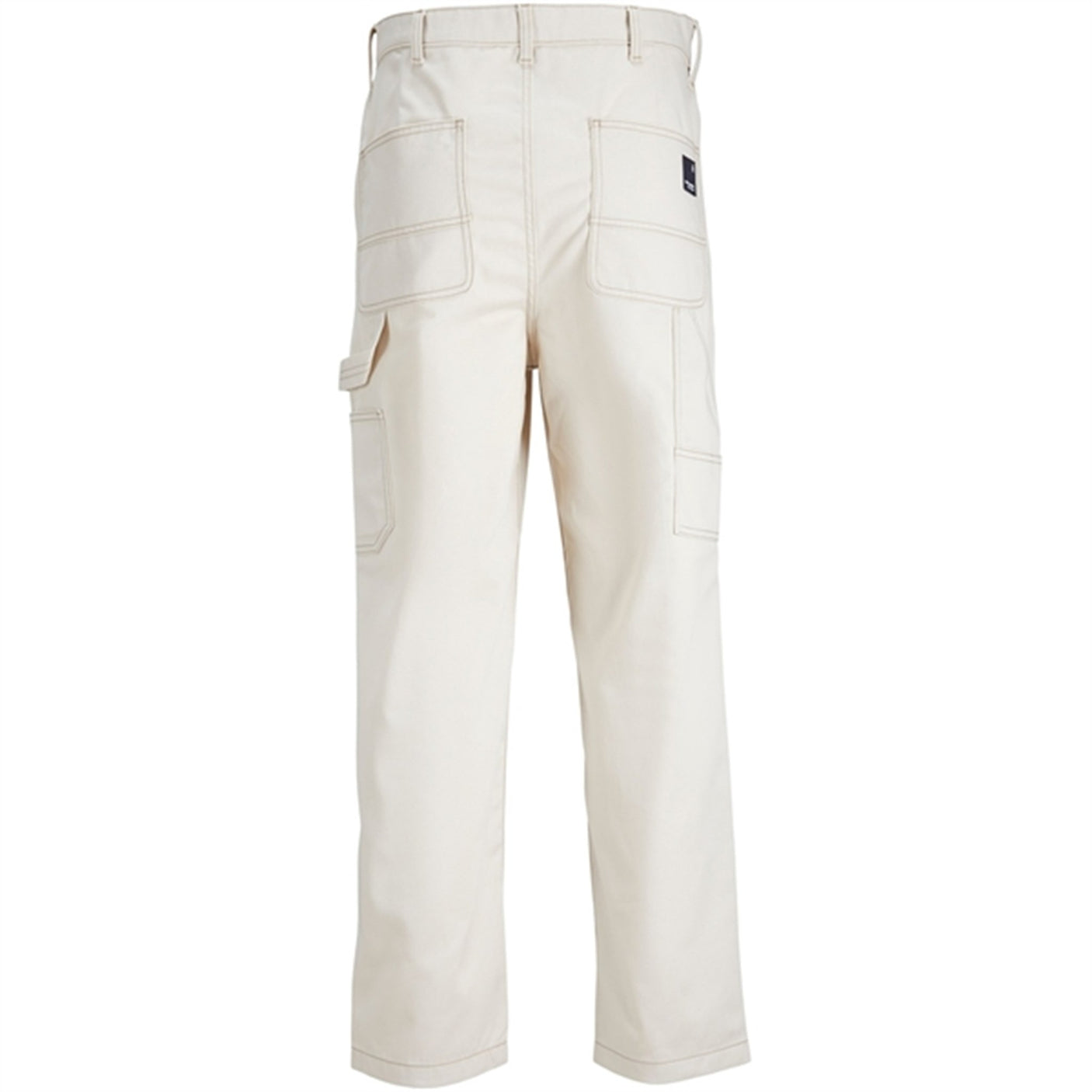 Jack & Jones Junior Moonbeam Karl Carpenter Contrast Cargo Pants